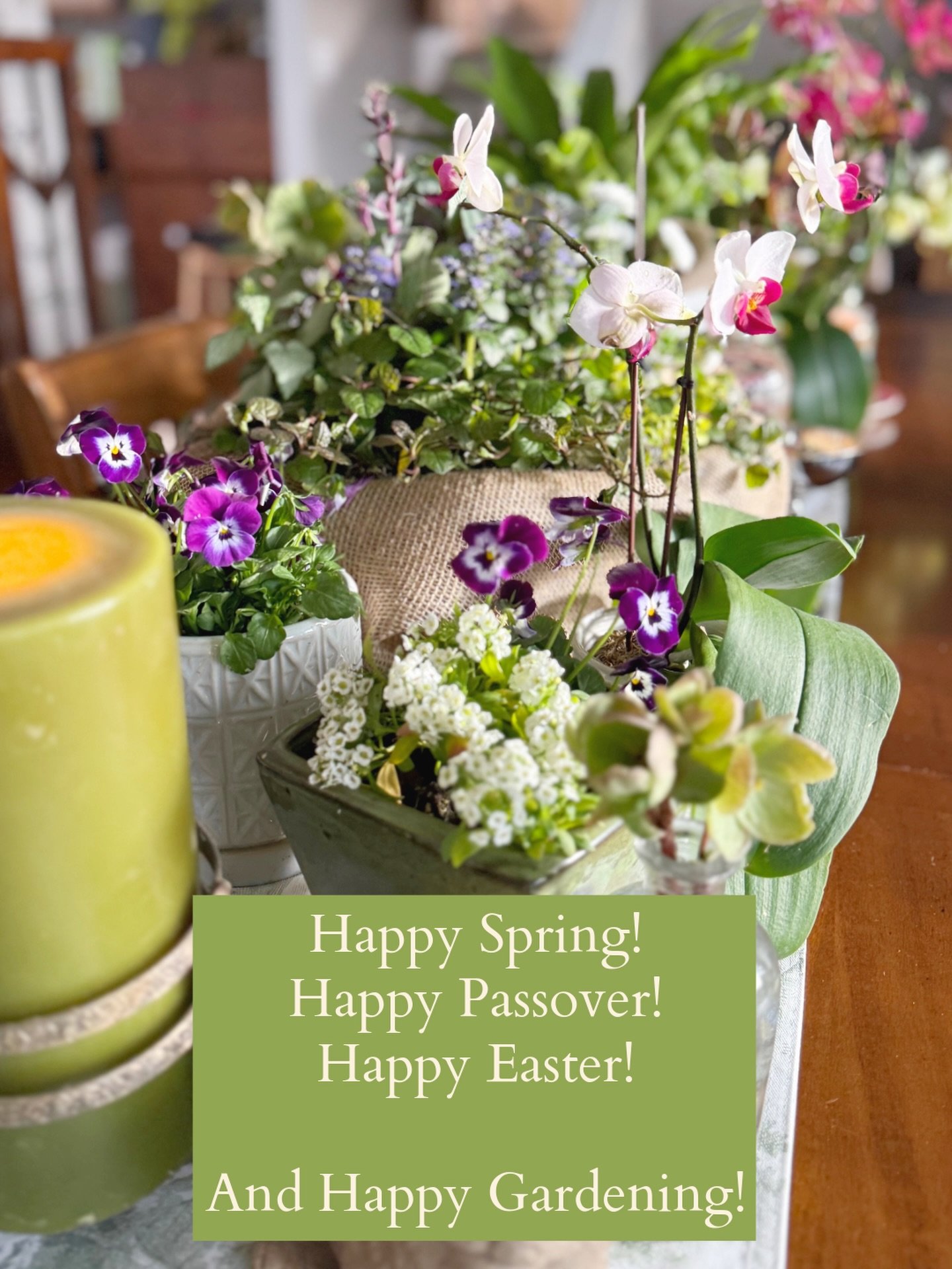 Happy Easter! Happy Passover! And Happy Spring! May this begin a new season of peace and joy and unity in our hearts and in the word 💚🌱🐣🌸