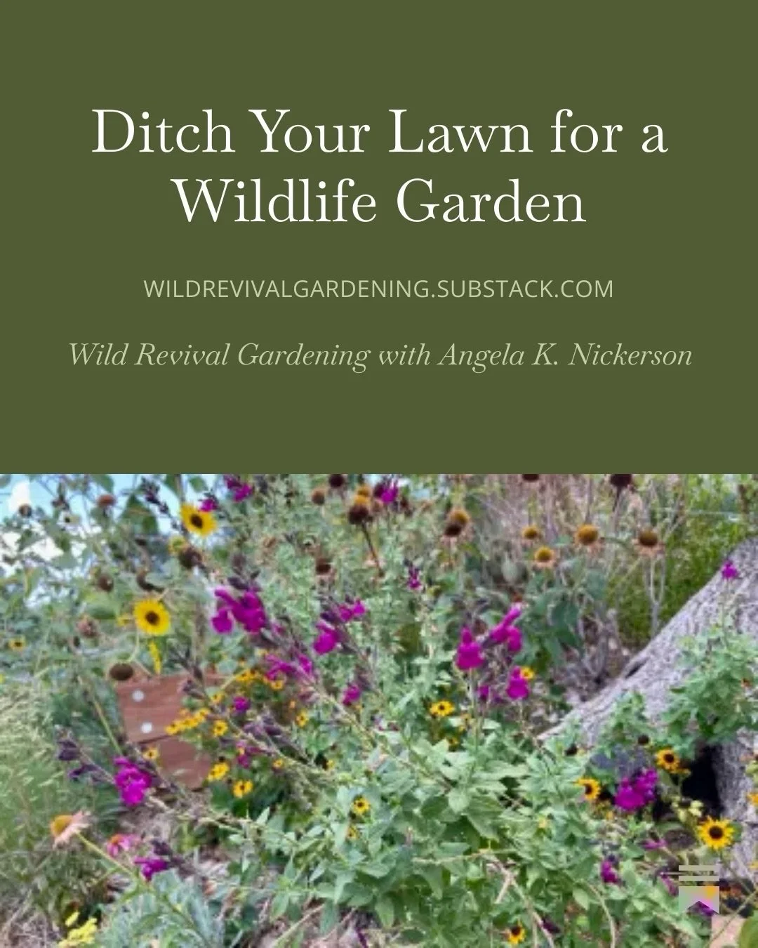 I am seeing lots of conversation about removing your lawn and planting out native plants. Awesome! I did that four years ago. It&rsquo;s been amazing! And I&rsquo;ve learned a lot. Today I have a peek into the Wildlife Garden in early spring, and the