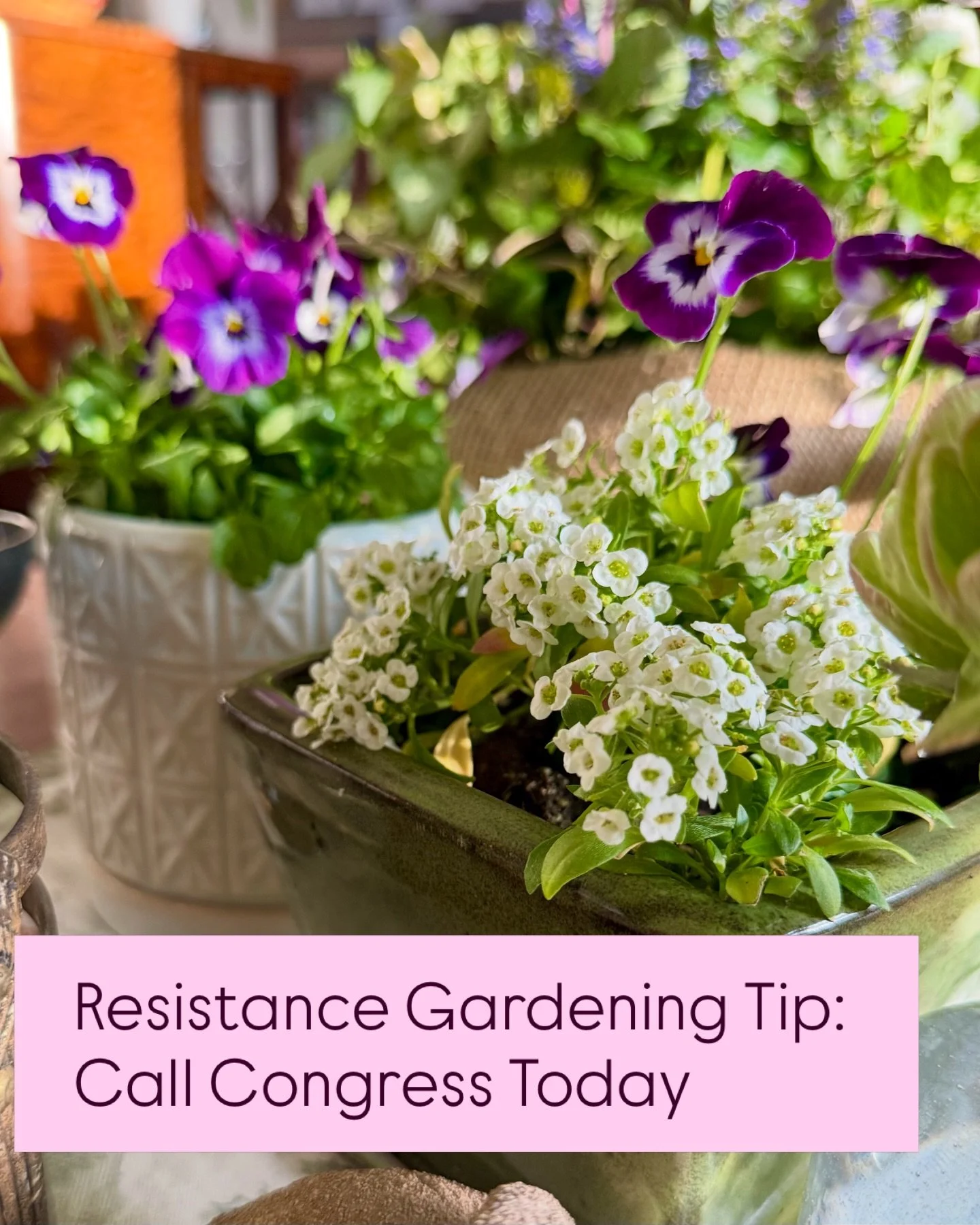 We are at the mercy of a madman and his court of religious zealots. Make your calls. Congress must do their job today. And call the Speaker of the House and the Senate Majority Leader, too. Tell them to call Congress back and to check Trump&rsquo;s p