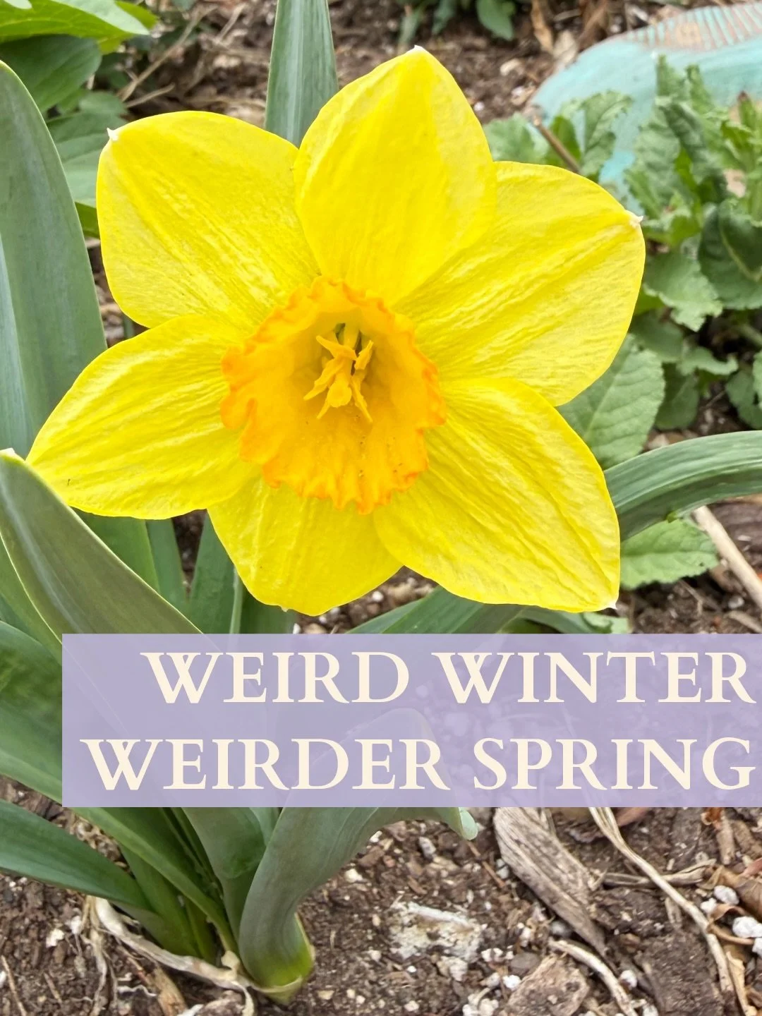 It&rsquo;s been a weird seven months or so here in Colorado. We had almost no snow this winter. Most of the ski resorts are already closed. April is supposed to be our second snowiest month! I don&rsquo;t see that happening this year. And I have peon