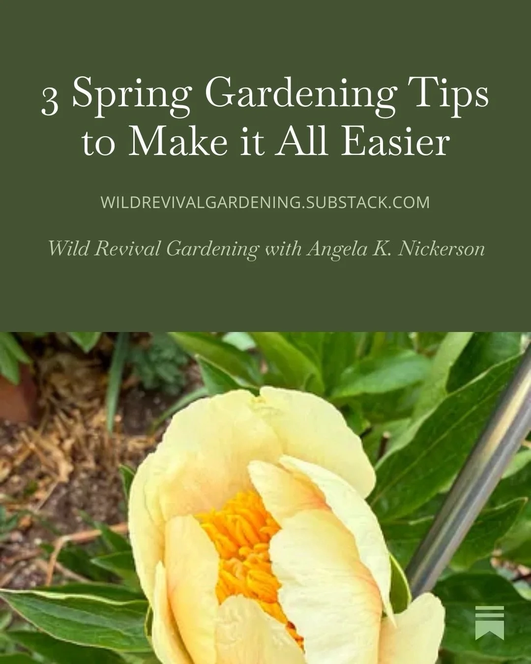 It&rsquo;s Substack Sunday! And today&rsquo;s post has three spring gardening tips that make everything easier. 
1. A tip that gets you free plants.
2. A tip that makes garden design easier.
3. A tip that helps get plants established better.

Comment
