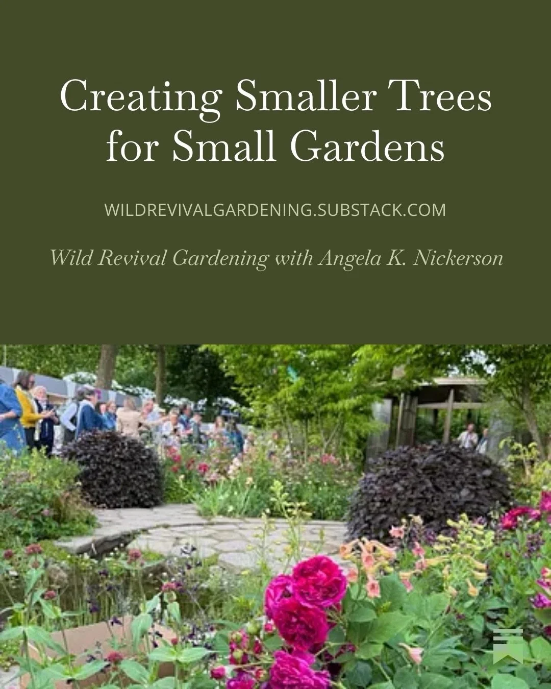 Today&rsquo;s Substack has an experiment and proven ways to keep trees small without a lot of work! Comment SUBSTACK for the link!
#gardening #gardens #learntogarden