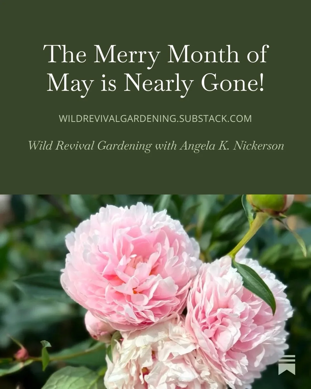 New post on Substack! Comment SUBSTACK below, and I will send you the link! 

#gardening #coloradogarden #learntogarden