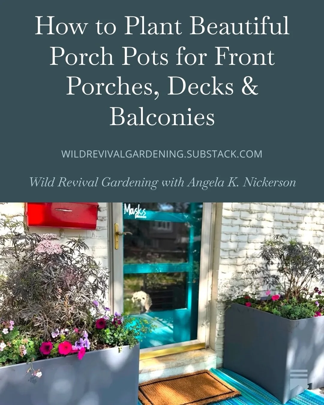 Porch pots!! They add curb appeal at the front of a house. They bring the garden in closer on a patio or deck. And they connect a balcony to the natural world &mdash; even 15 stories up! I have all kinds of tips for you today! And details about my ne
