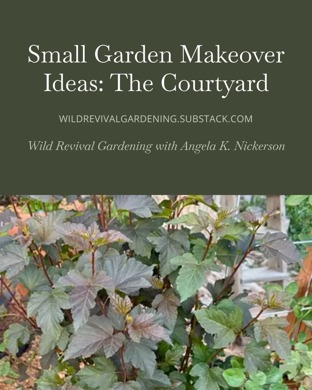 Today&rsquo;s the day: the big reveal of The Courtyard! There are ideas here for small spaces &mdash; a courtyard, a patio, a balcony &mdash; and everything is movable. If you&rsquo;re renting these could be good options for you! And all of those pla