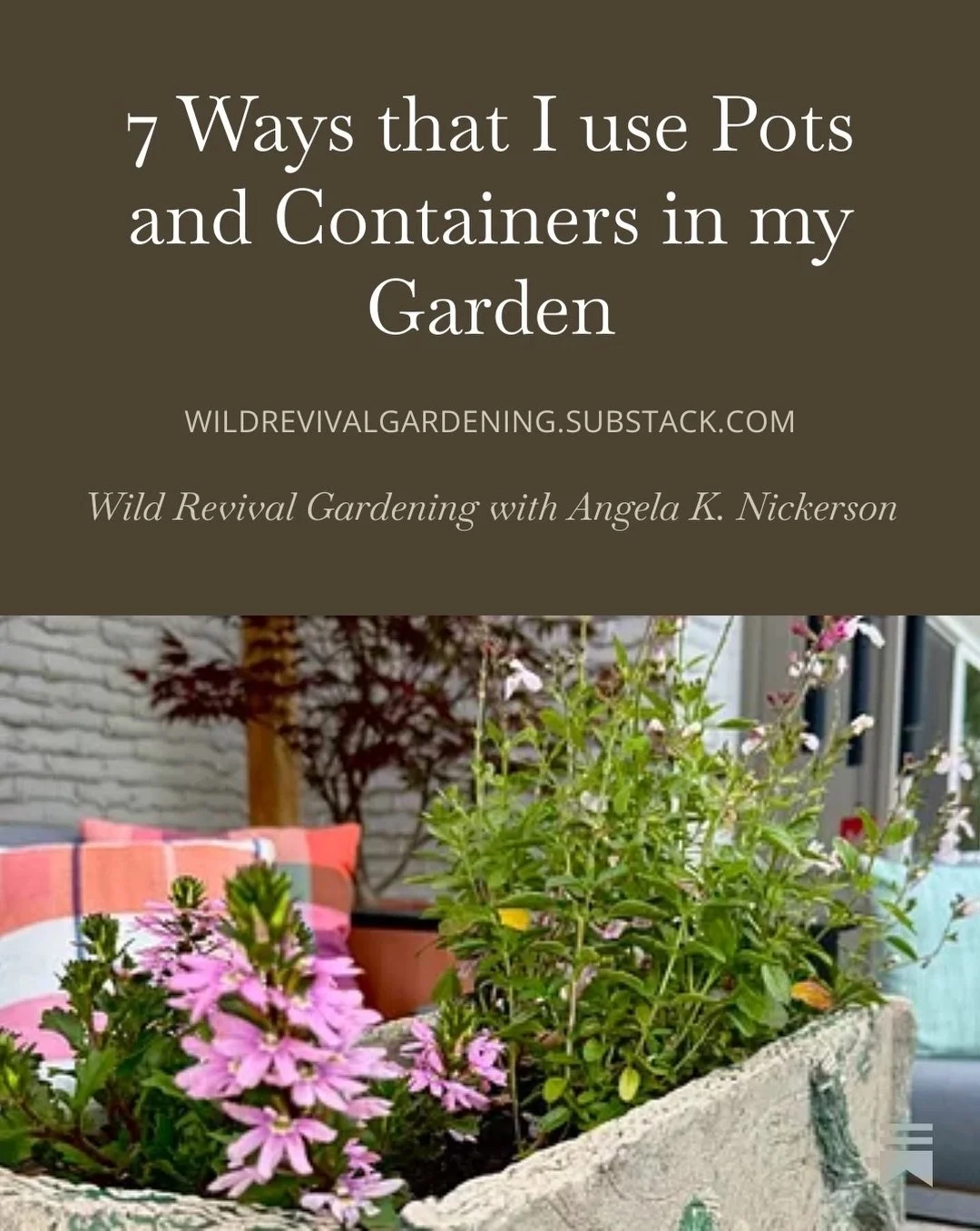 I slept in this morning, because we took our kid to his first concert last night. 🎻🎸🥁🪗🪕🎉 But here is today&rsquo;s post! I took a look around my garden and found seven ways that I&rsquo;ve been using pots and containers in my garden. I&rsquo;m 