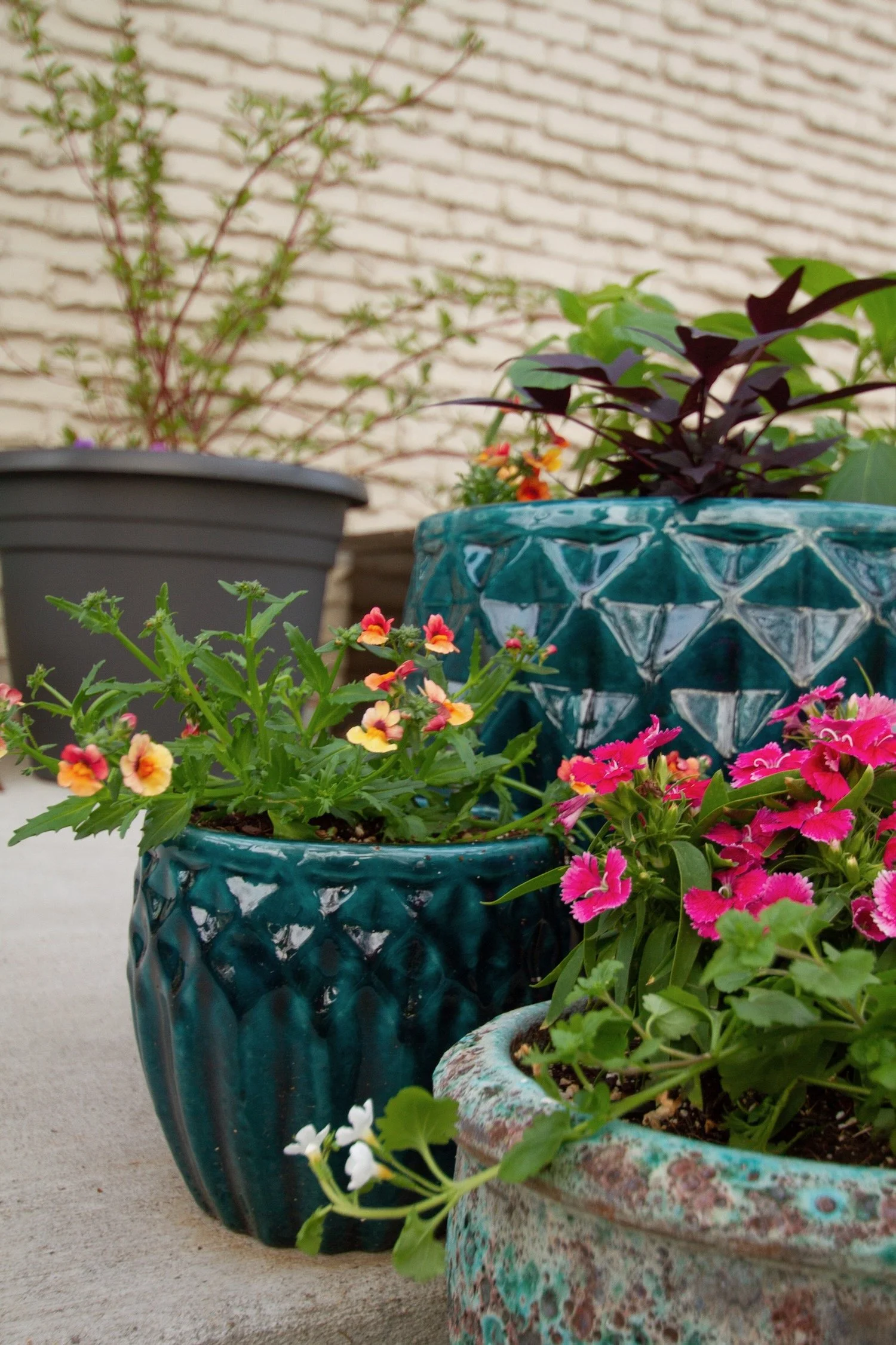 Teal pots bring color and texture