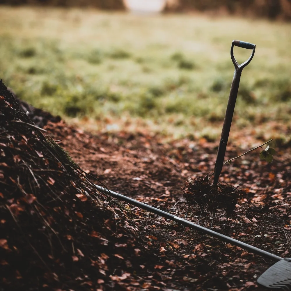 How to Make Leaf Mold — Mid Modern Mama