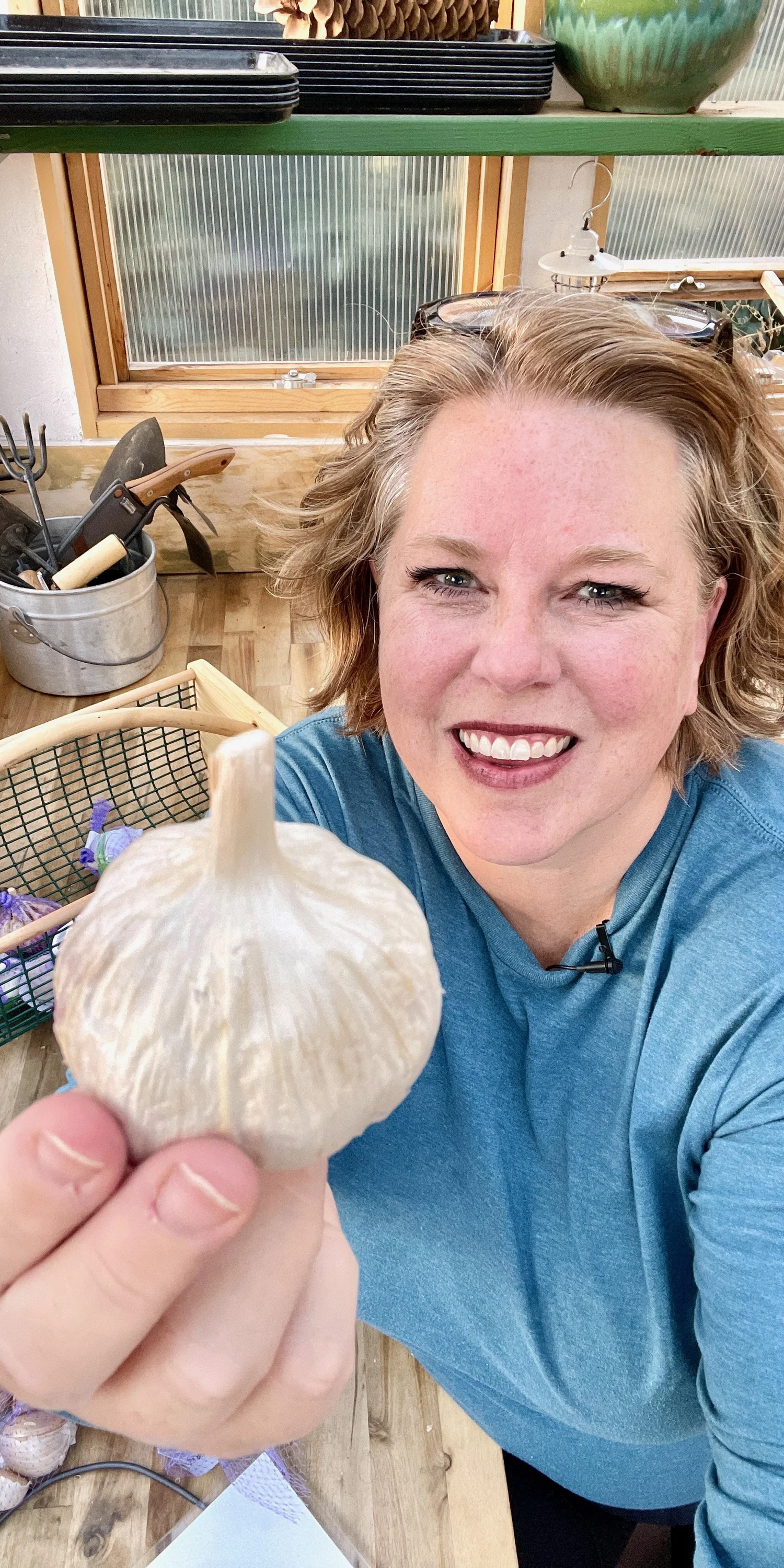 How to Plant Garlic in the Fall: A Step-by-Step Growing Guide for ...