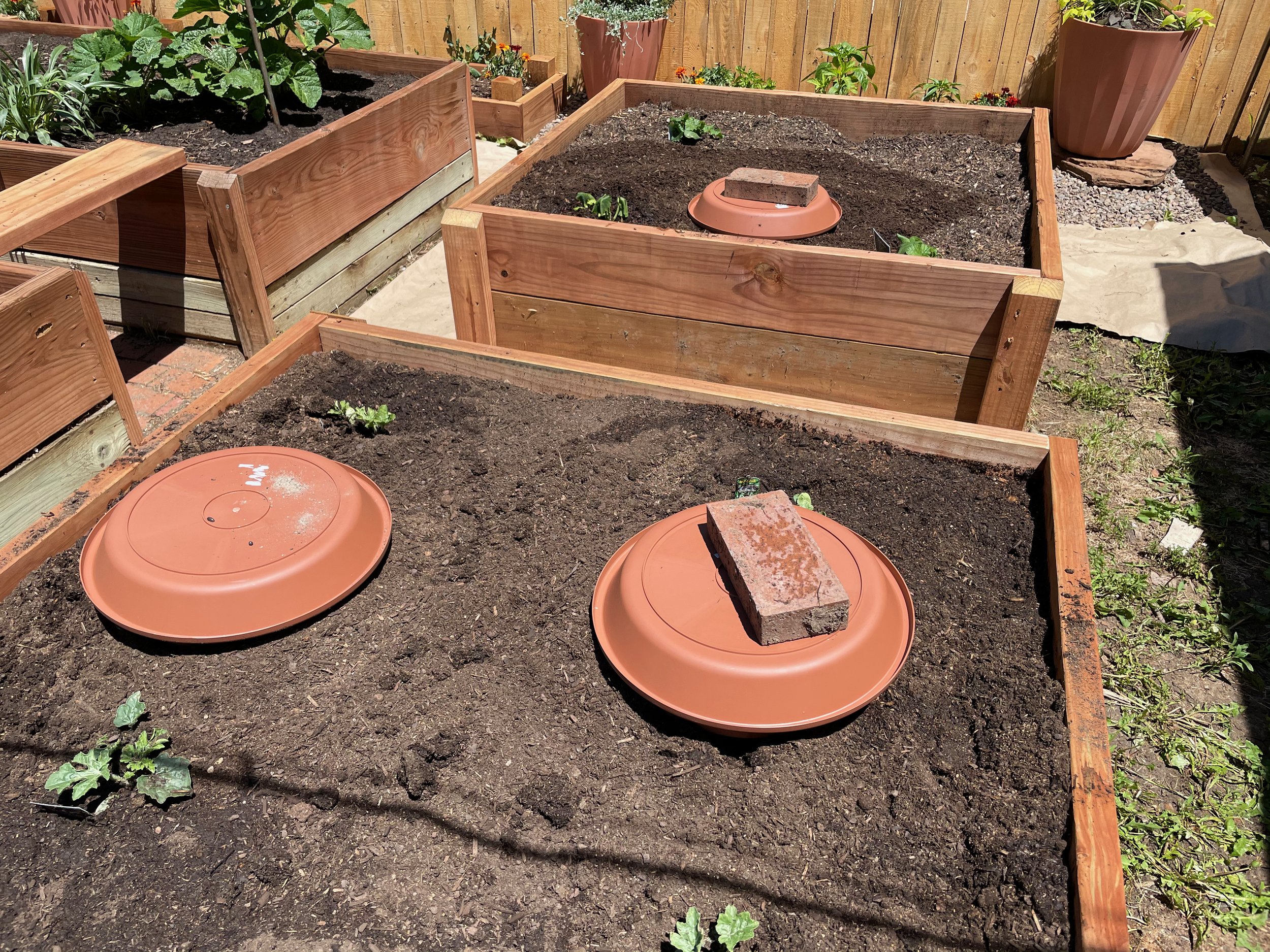 Olla Pots: Self-Watering Irrigation System for Modern Gardening