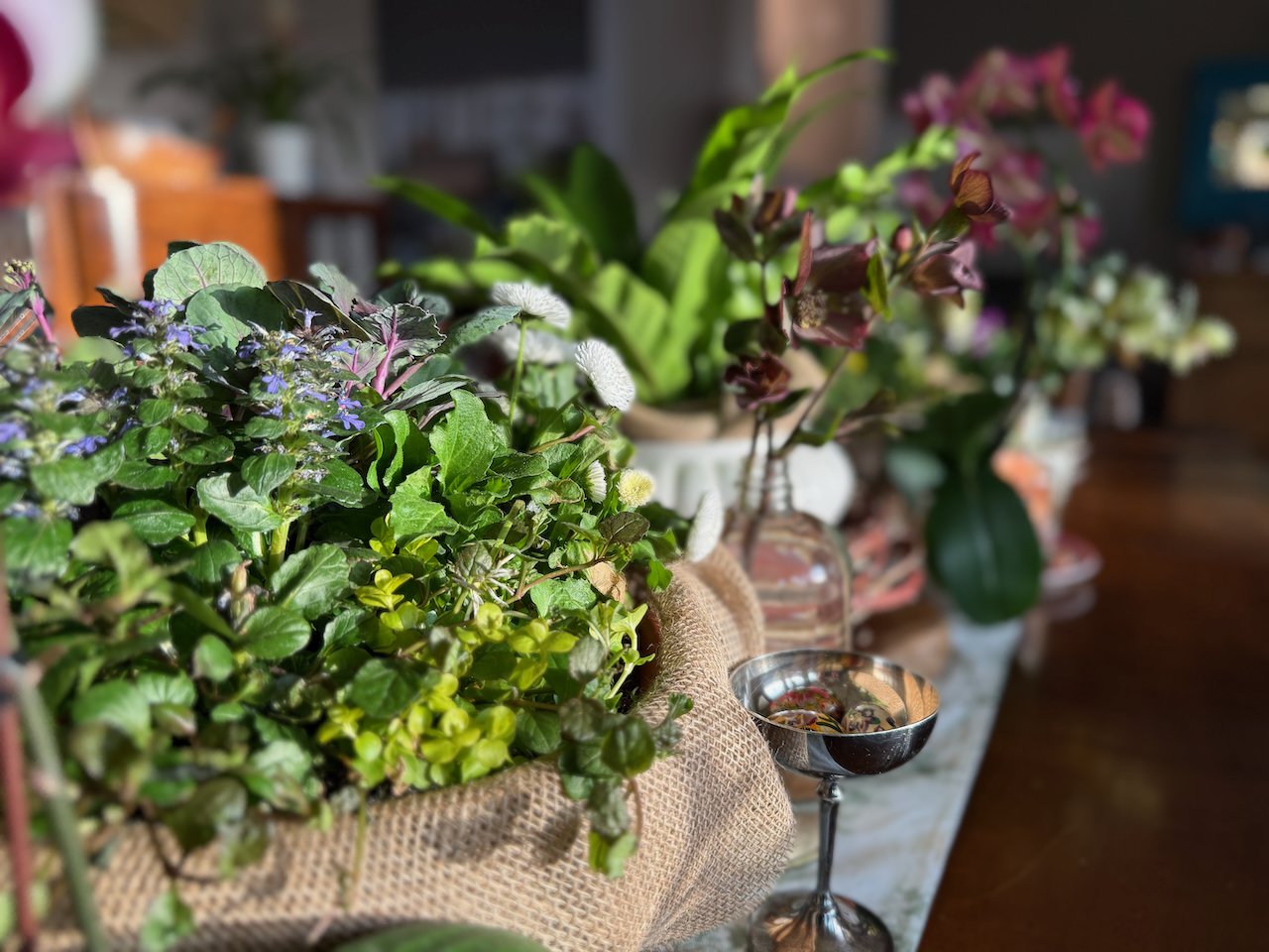 2 Spring Container Plant Recipes Using Perennials You Can Replant Later ...