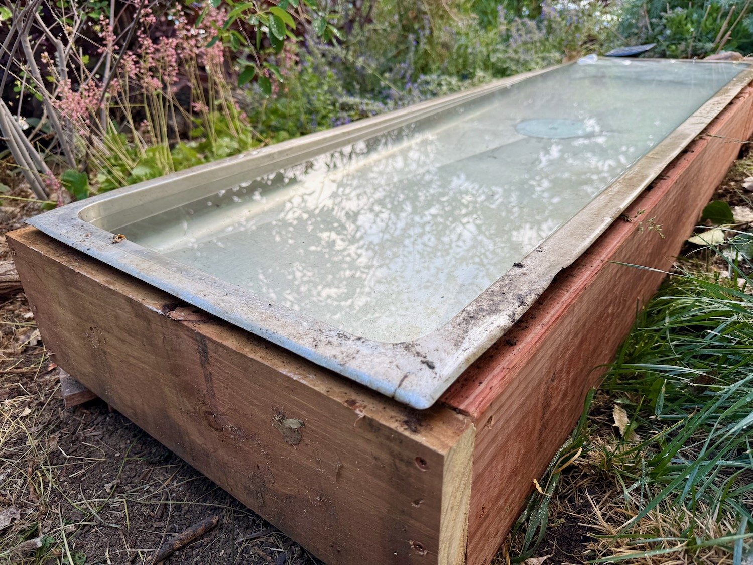 The Skinny Pond is an old sink on a pressure-treated frame. Simple.