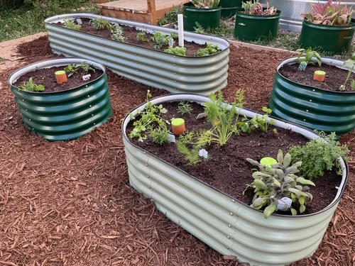 How to Use Ollas for Watering Plants: Efficient Irrigation Tips for ...