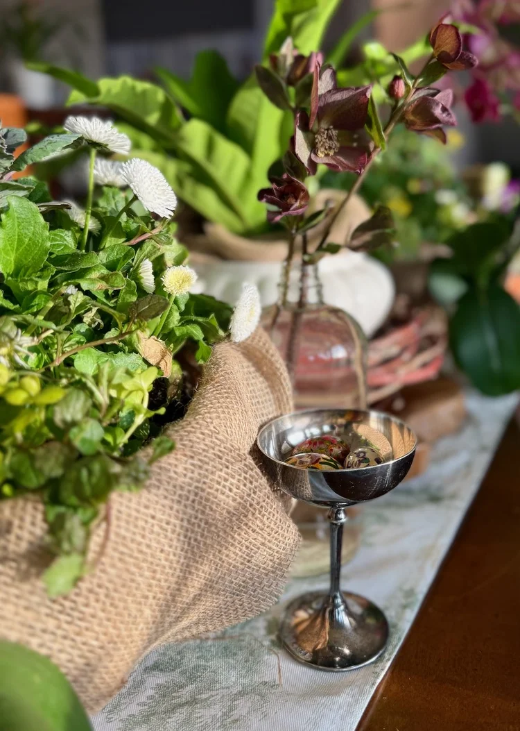 2 Spring Container Plant Recipes Using Perennials You Can Replant Later ...