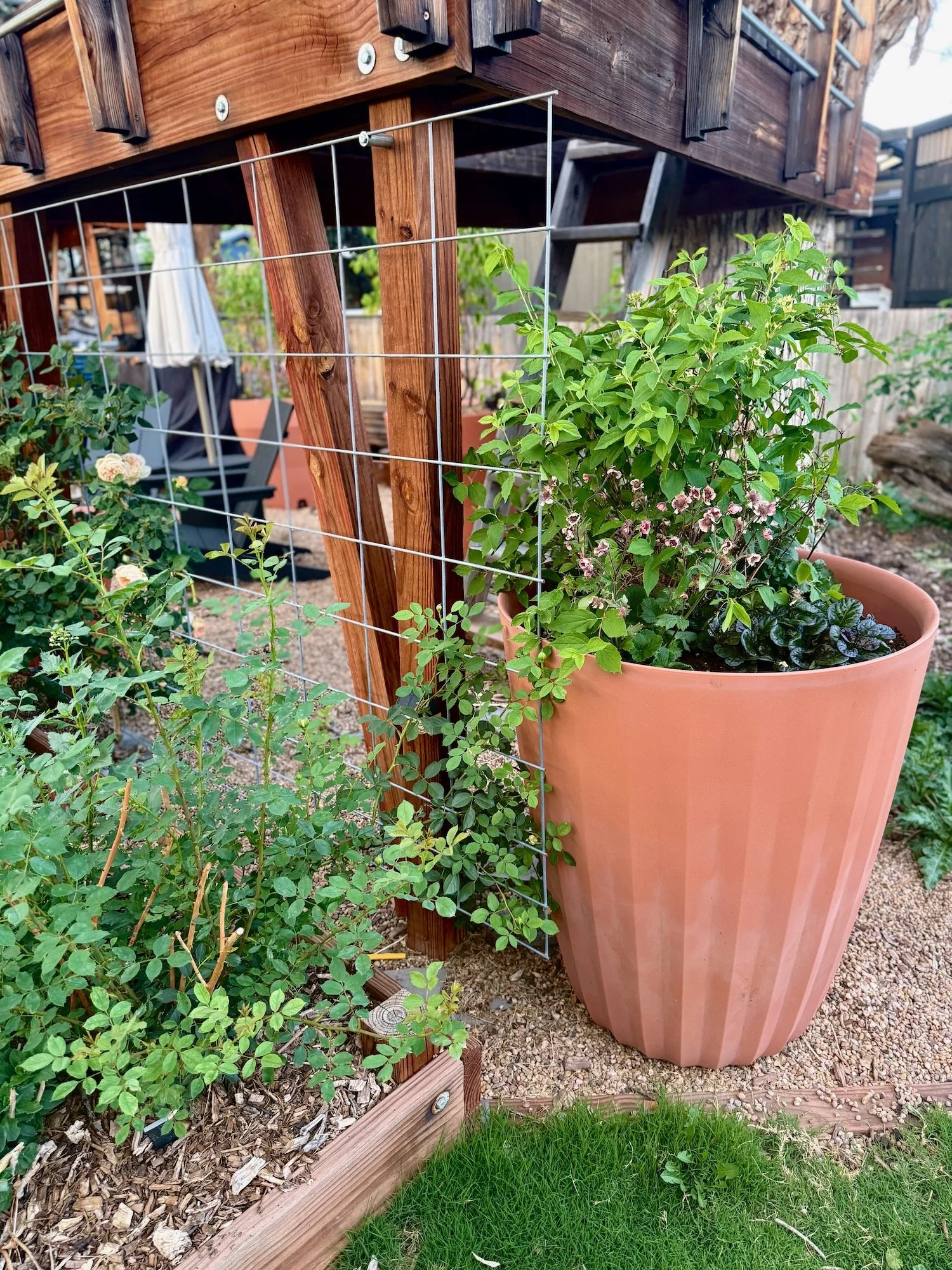 Punchy Pots - 15.jpeg