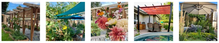9 Effective Ways to Create Shade in Your Backyard: Simple Solutions for ...