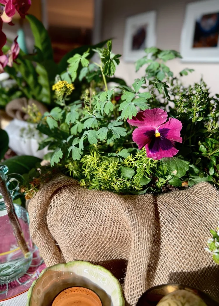 2 Spring Container Plant Recipes Using Perennials You Can Replant Later ...