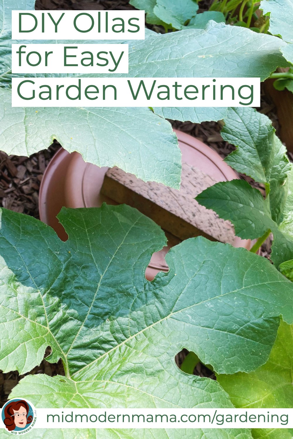 DIY Ollas for Watering Plants and Gardens — Mid Modern Mama