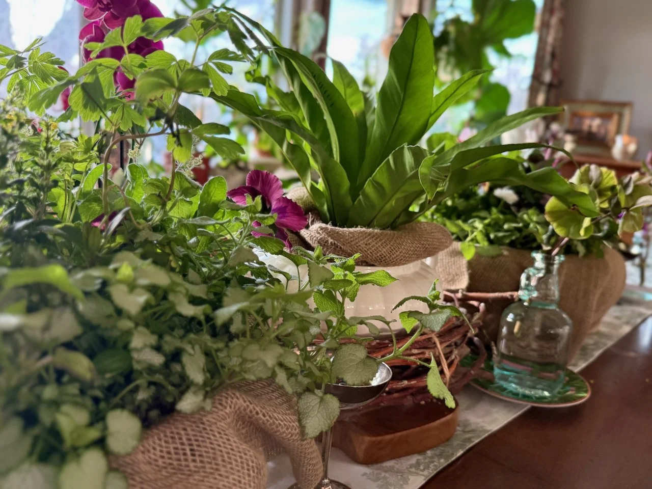 2 Spring Container Plant Recipes Using Perennials You Can Replant Later ...