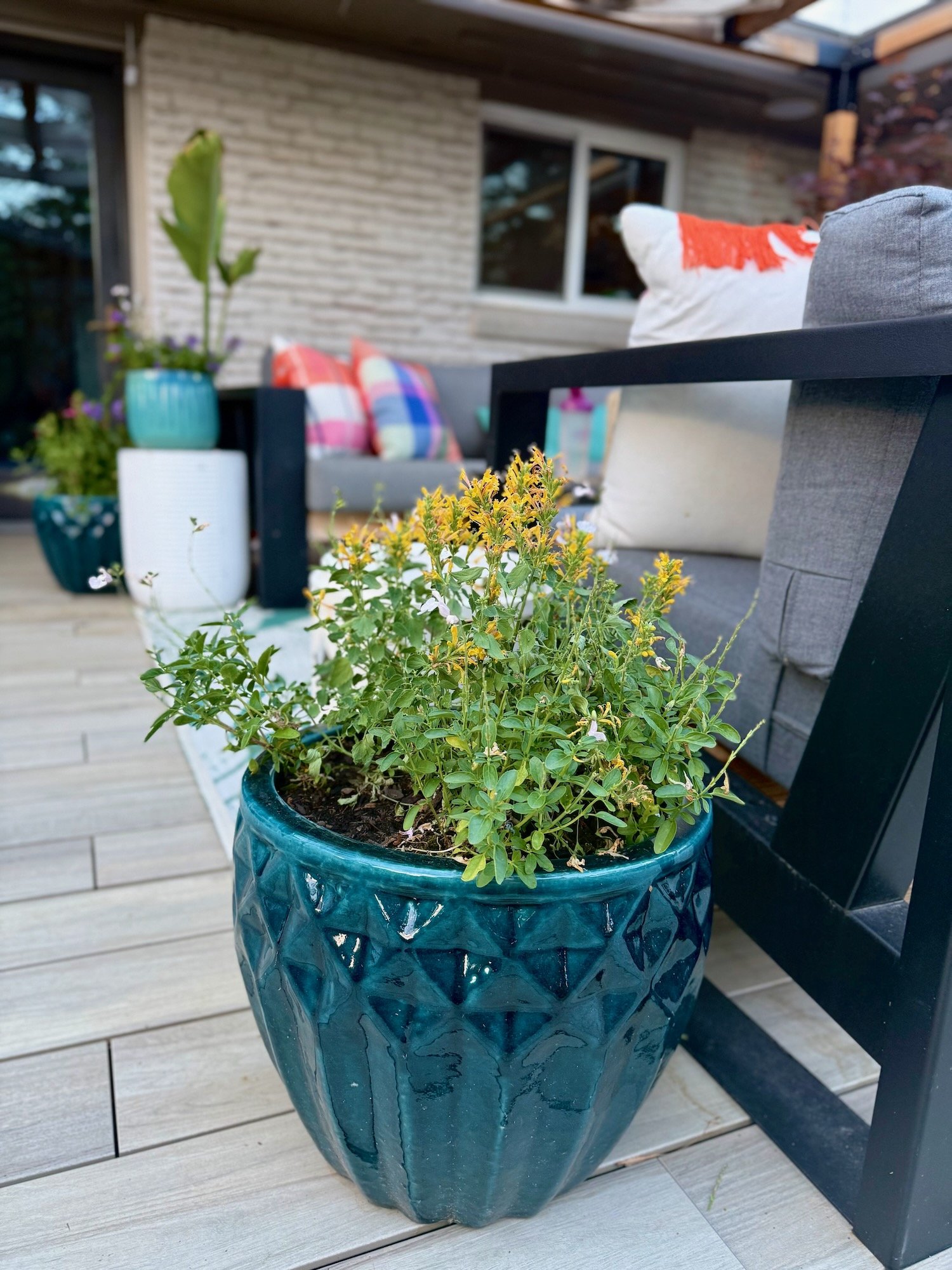 Round Pots soften Sharp Corners