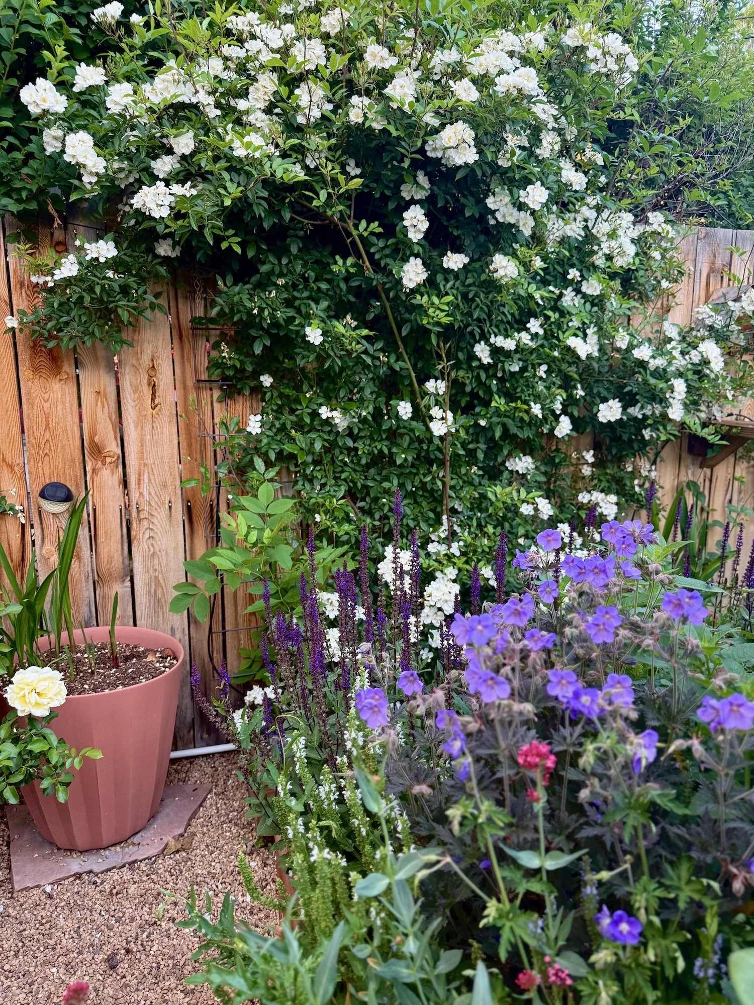 7 Ways to Use Planters in a Garden
