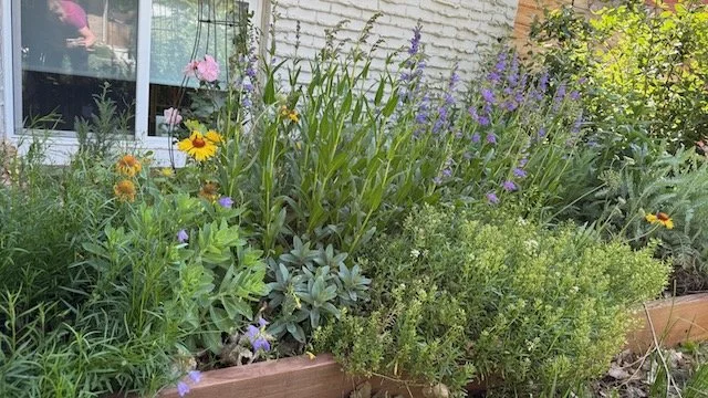 How to Refresh an Established Garden Bed