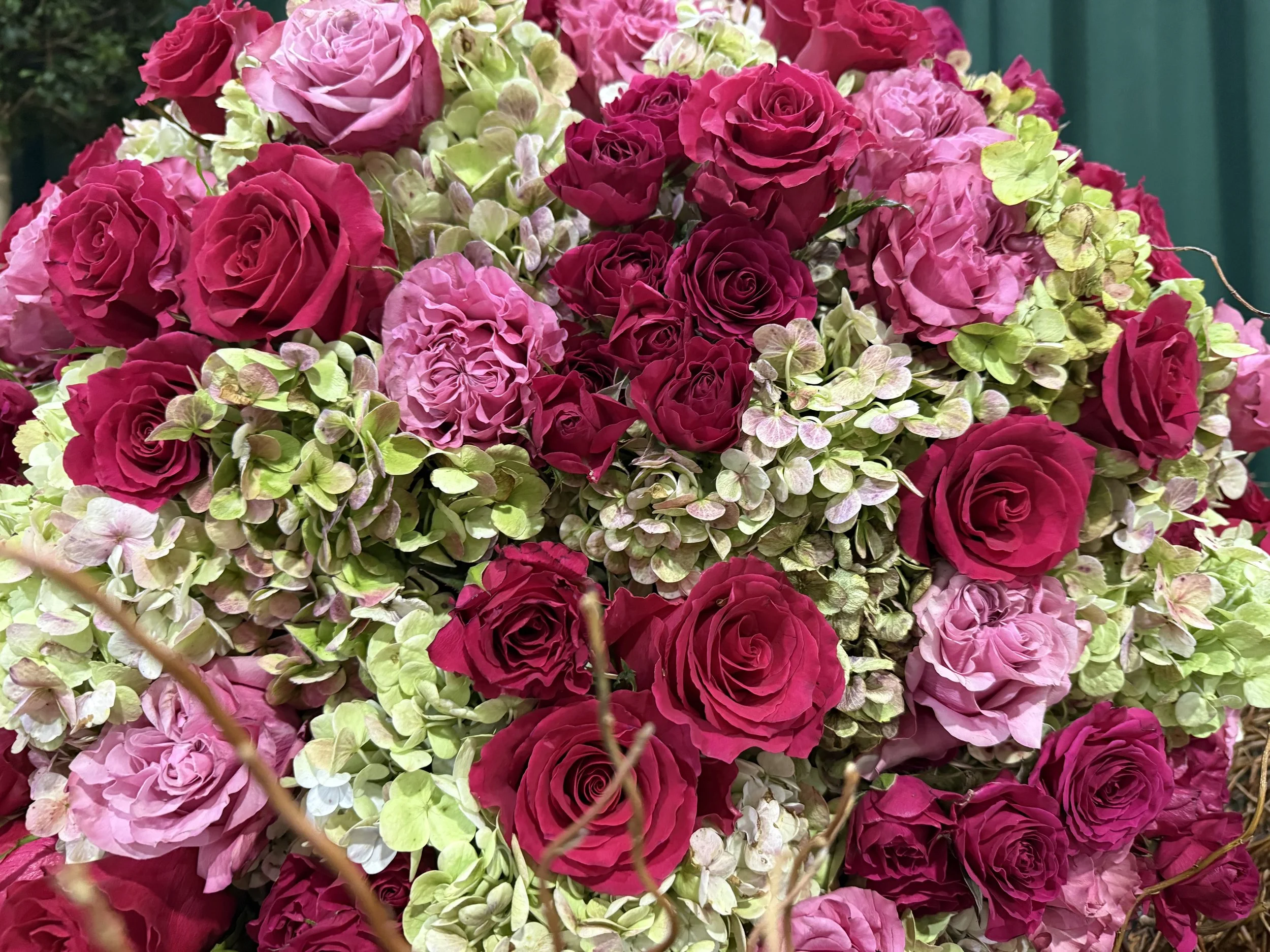 What Gardeners Can Learn from the 2026 Philadelphia Flower Show