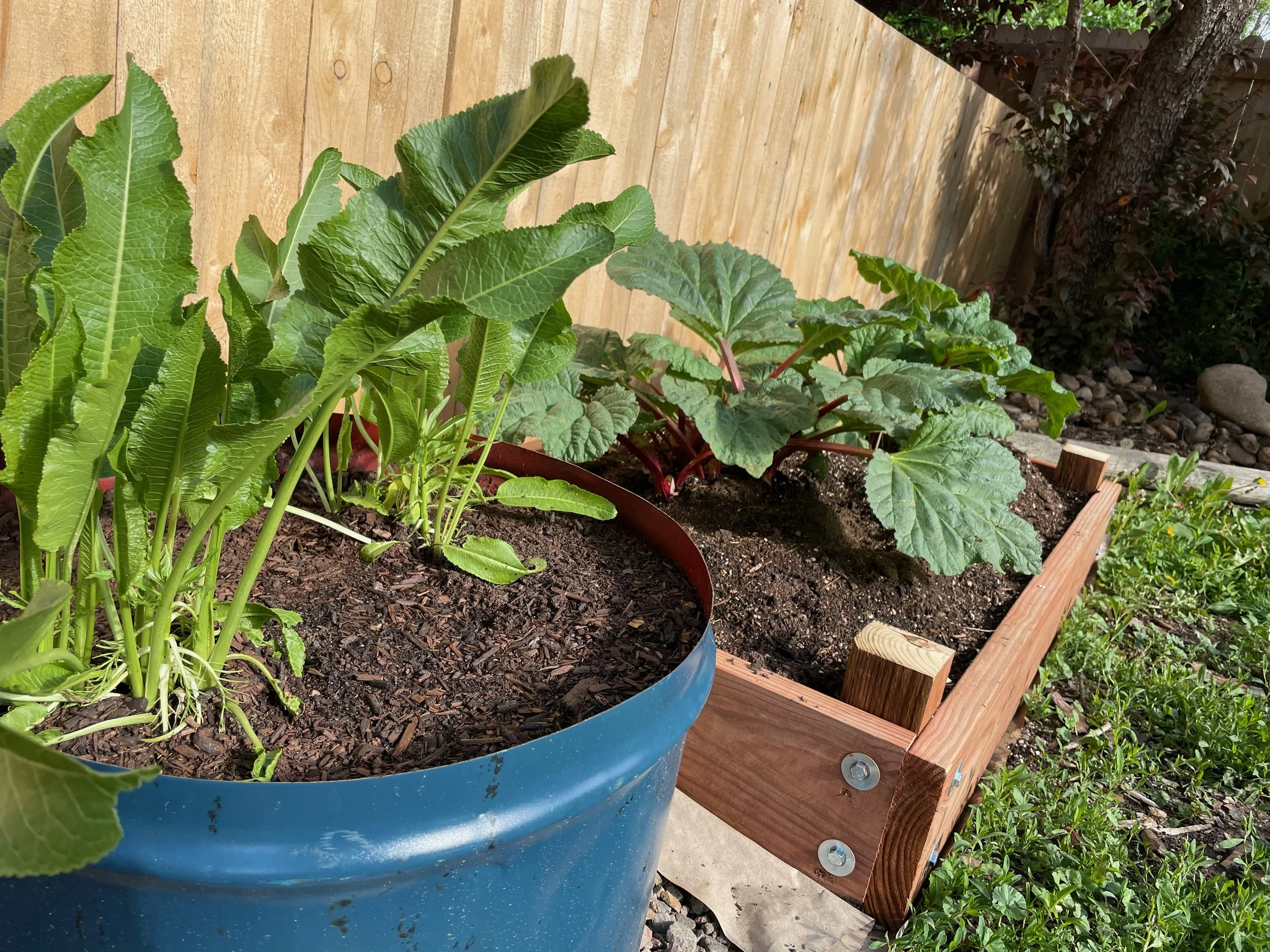 How to Build a DIY Raised Garden Bed: Step-by-Step Guide for Beginners ...