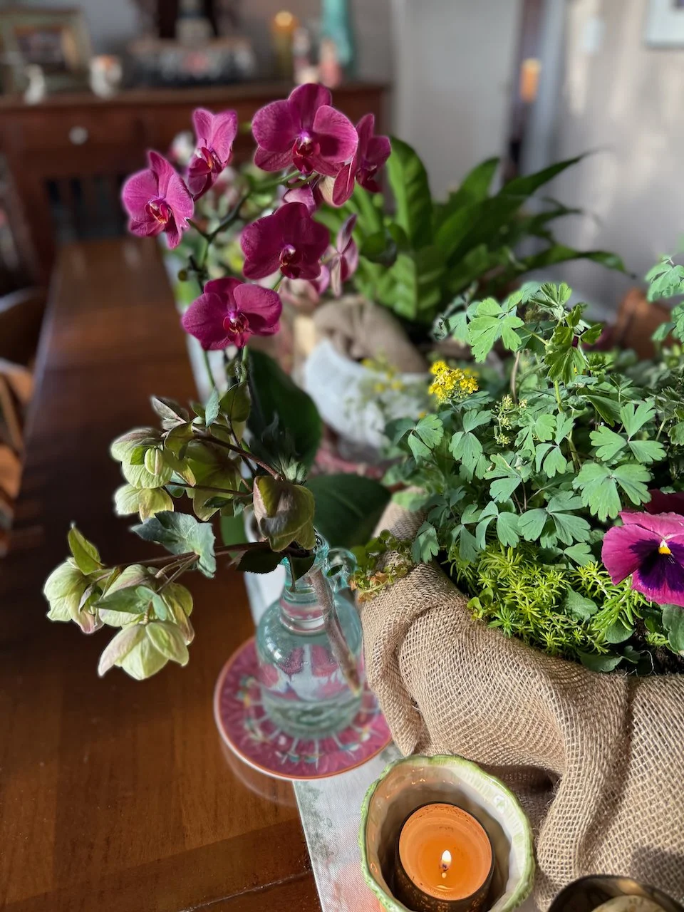 2 Spring Container Plant Recipes Using Perennials You Can Replant Later ...
