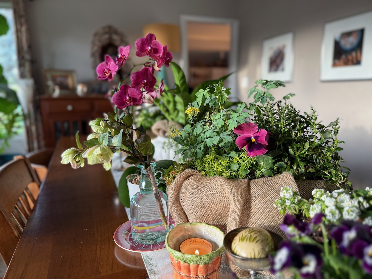 2 Spring Container Plant Recipes Using Perennials You Can Replant Later ...