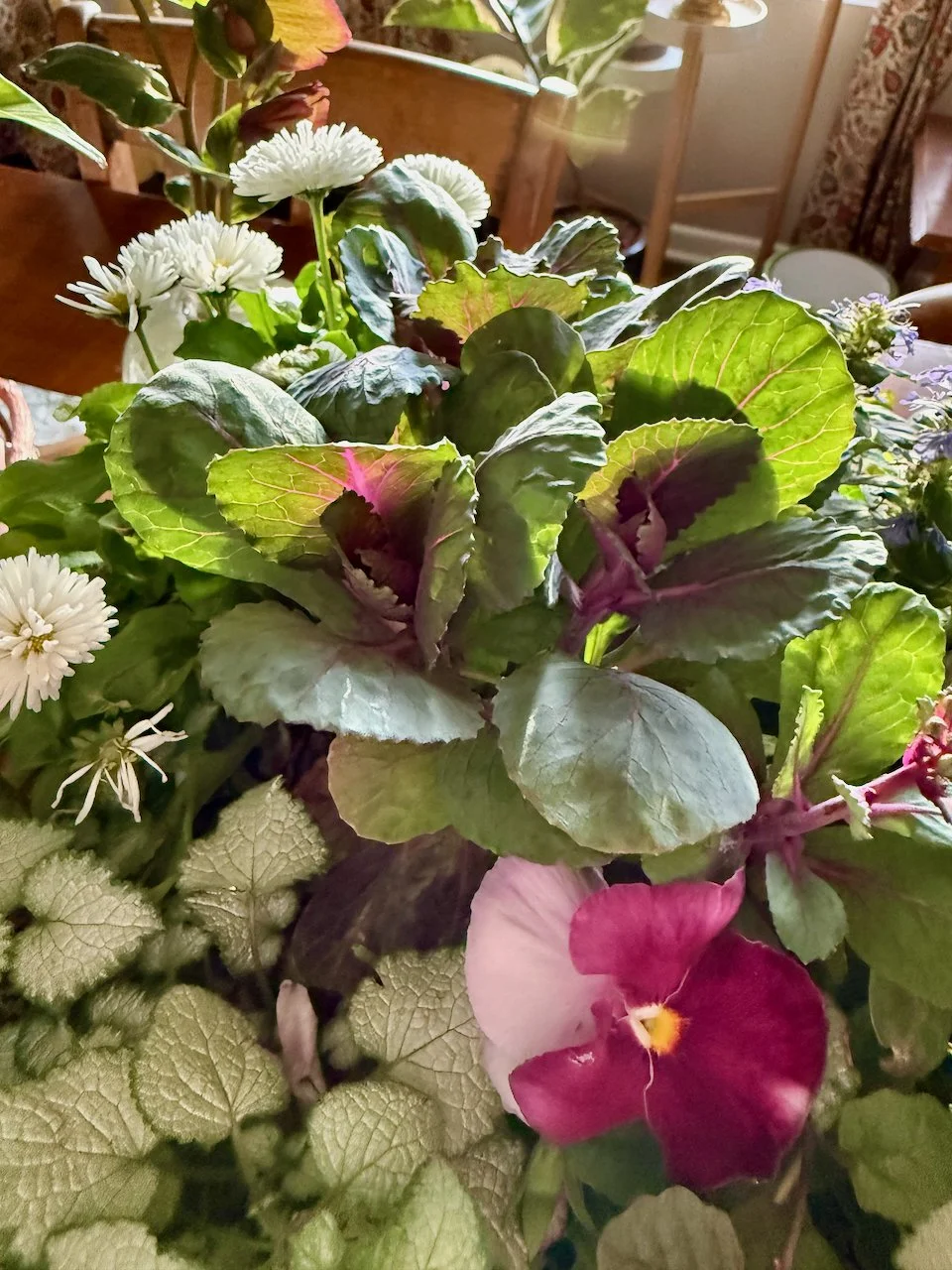 2 Spring Container Plant Recipes Using Perennials You Can Replant Later ...