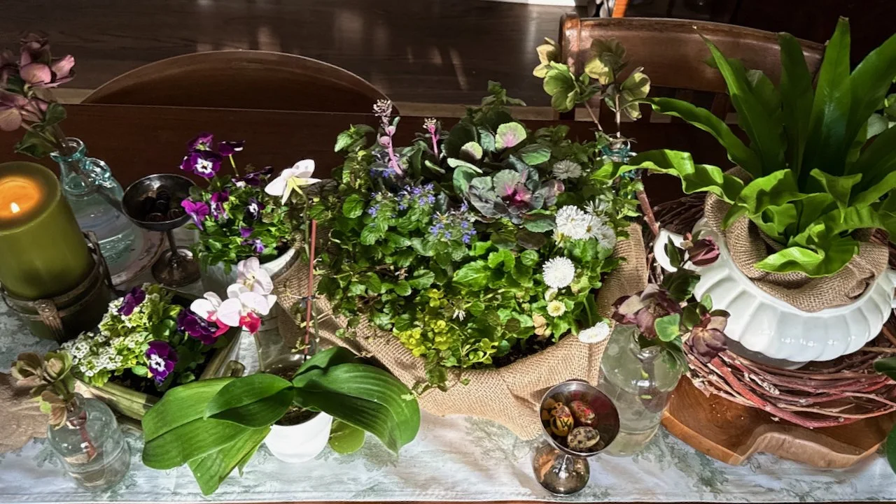 2 Spring Container Plant Recipes Using Perennials You Can Replant Later ...