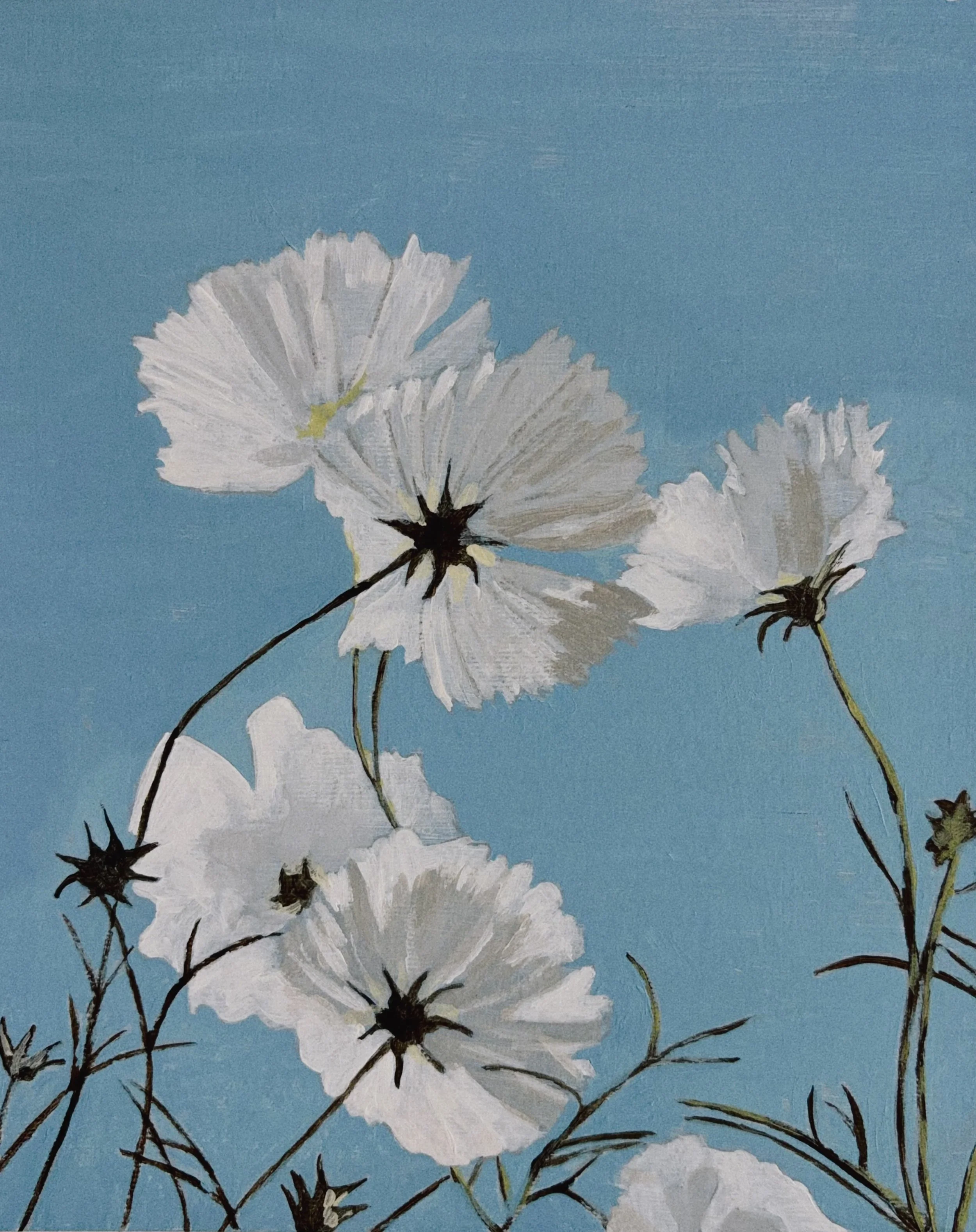 White Cosmos flowers 10&rdquo;x8&rdquo; Acrylic on paper