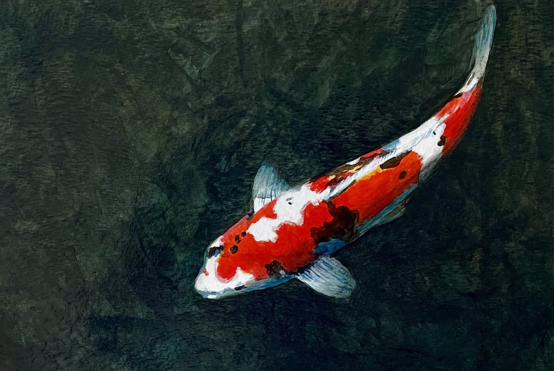 Koi