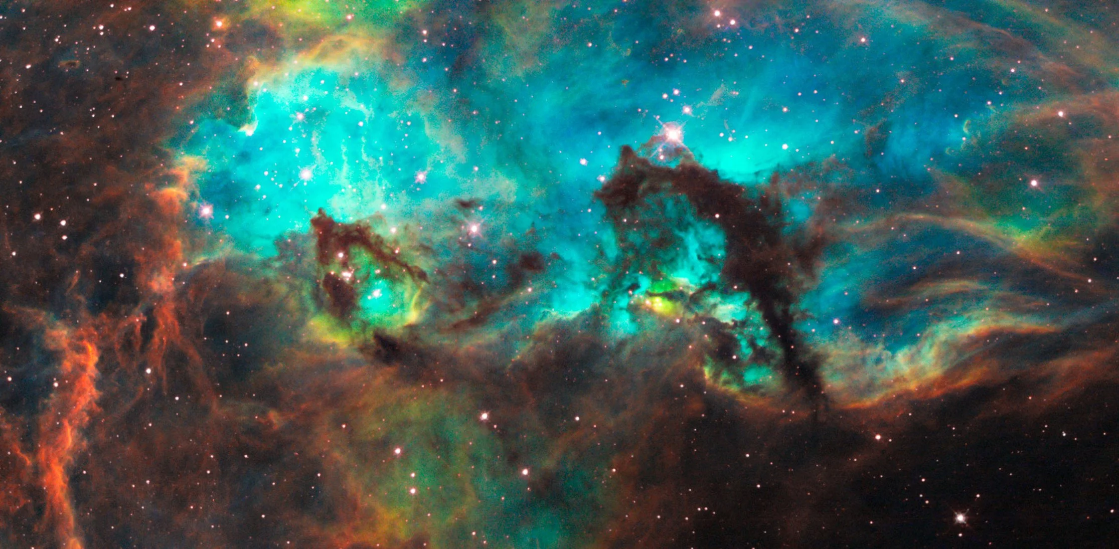 Three Powers: Wonder, Compassion, Conscience