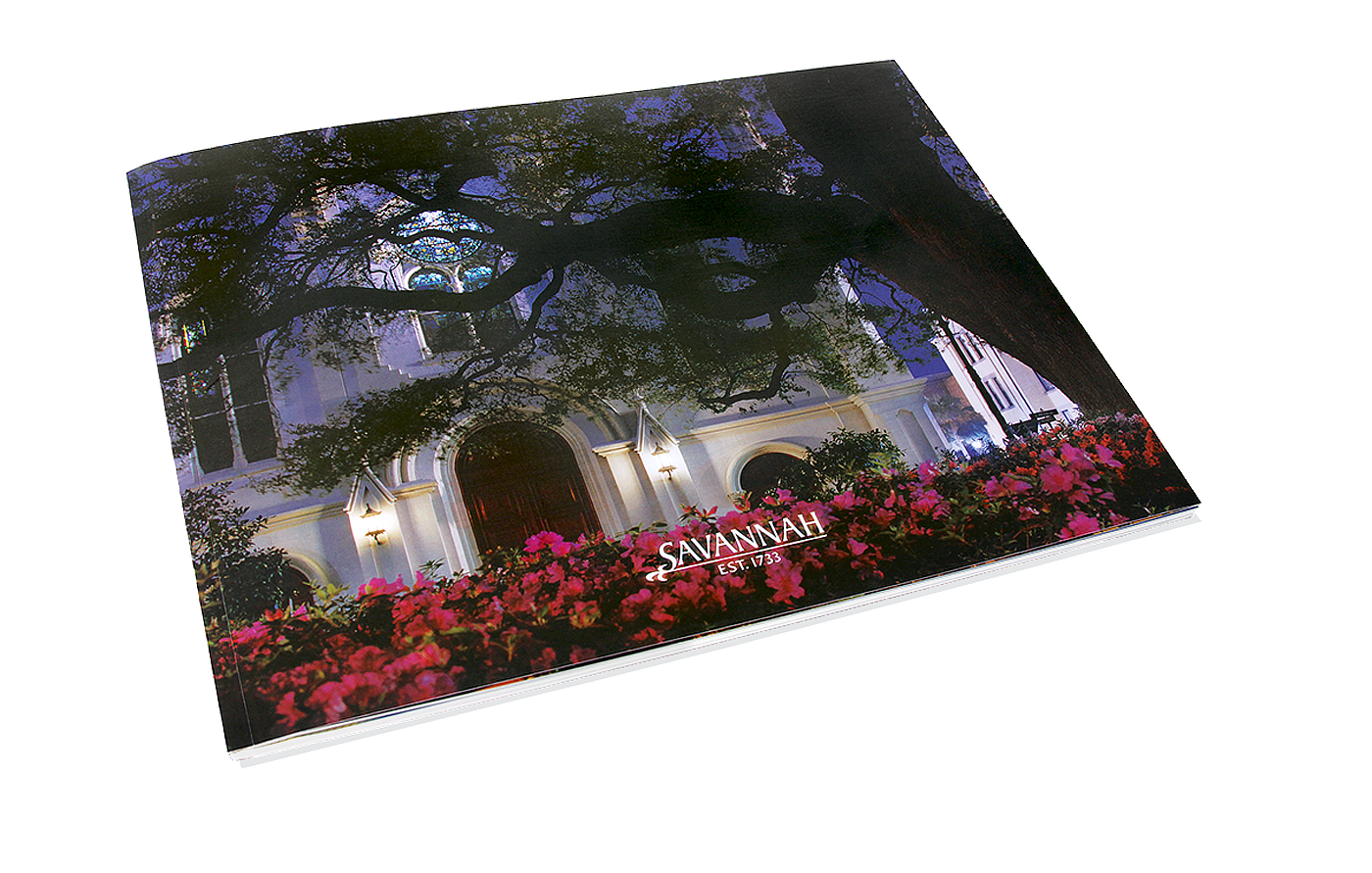 SavannahCover_New.png