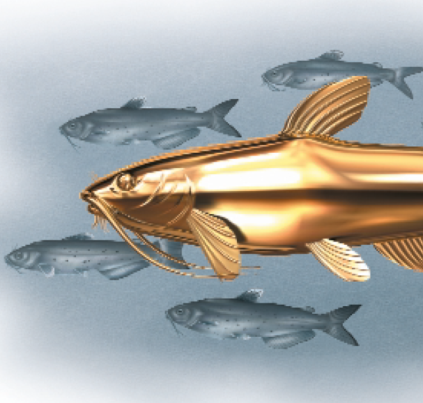 DPC-GoldenCatfishNavigation.png