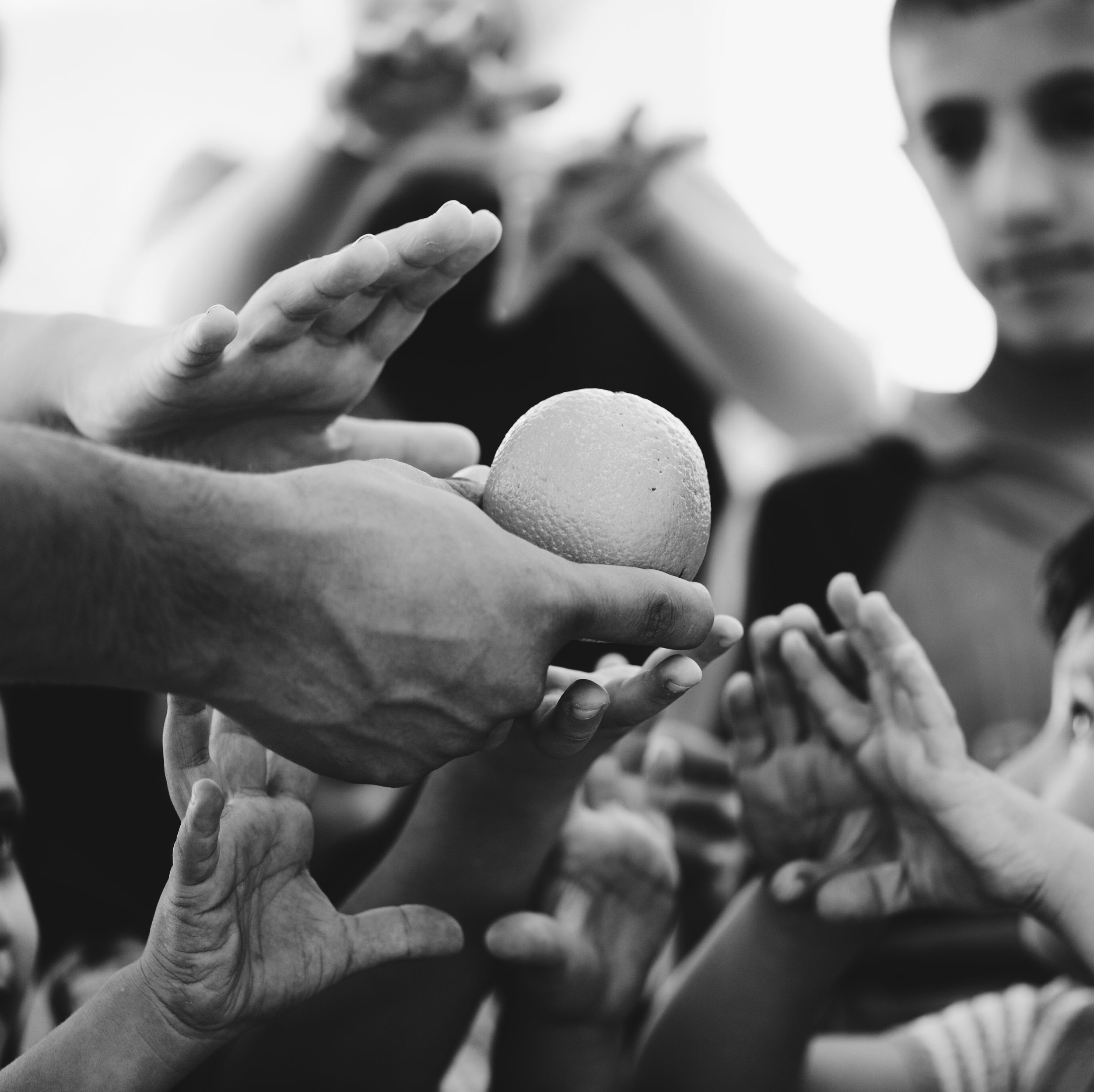 Food Distribution