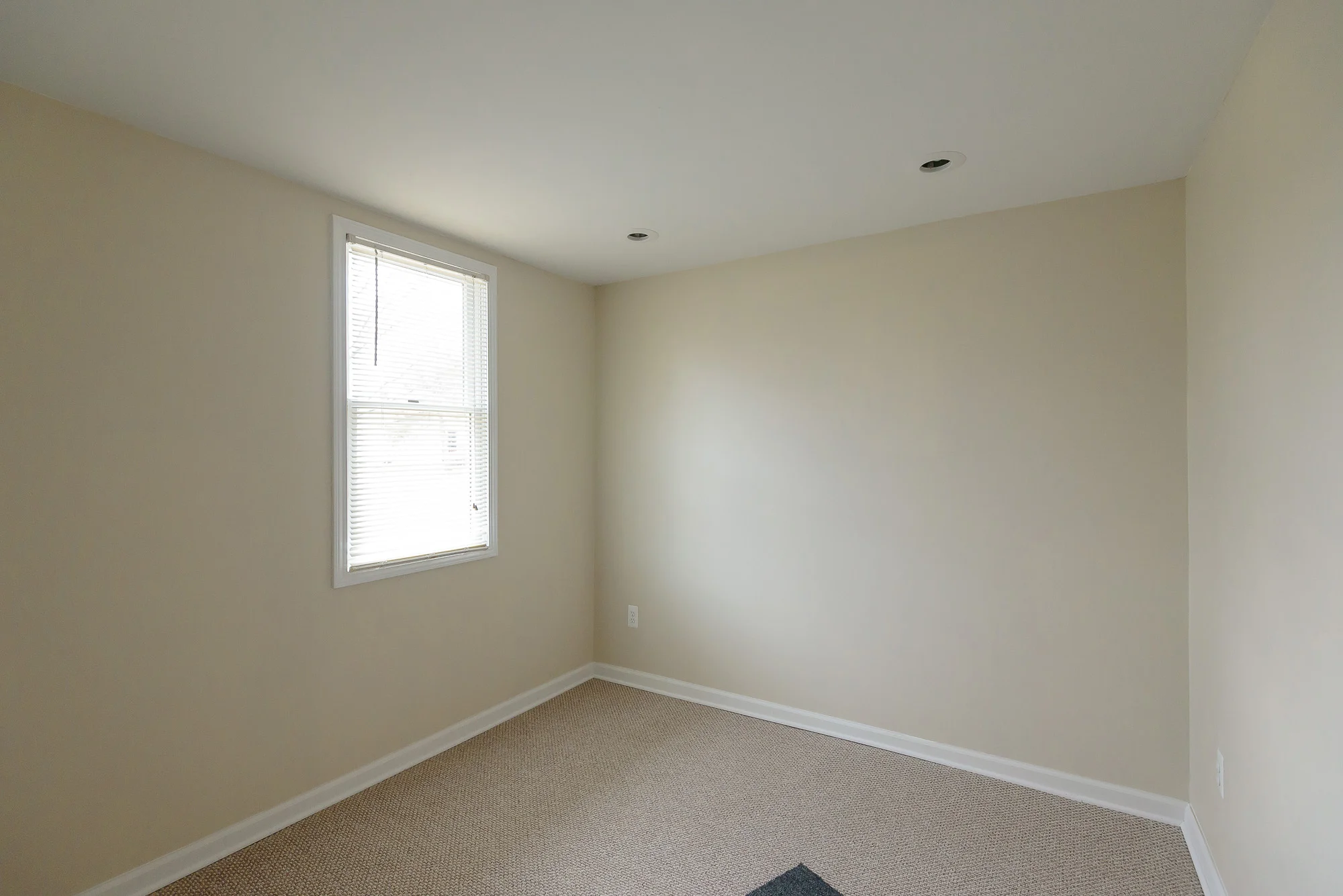 906_madison-1.jpg