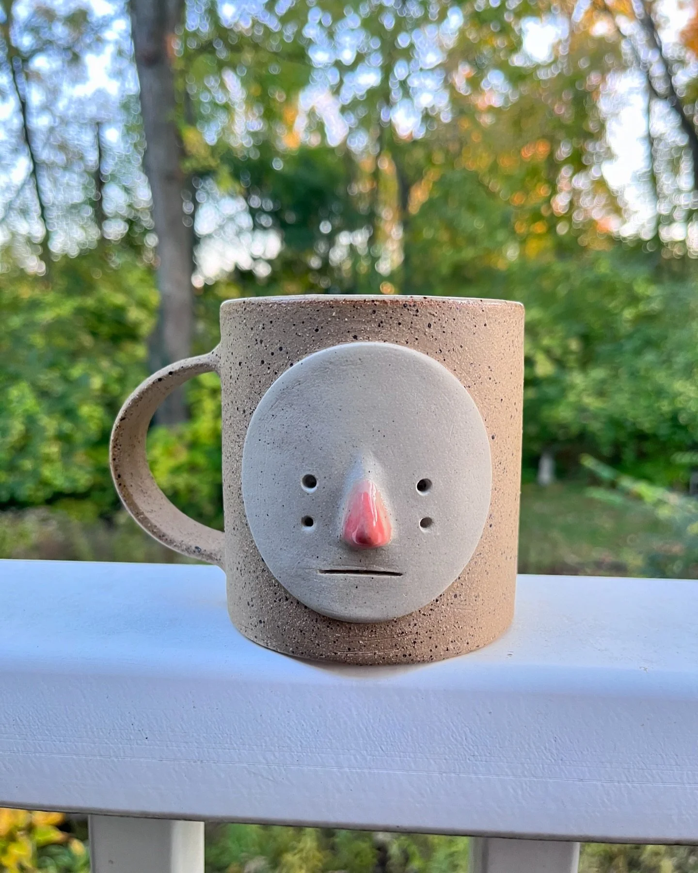 Ann Arbor&rsquo;s trees are really showing off this weekend. 

.
.
.
.
.
.
.
.
.
#ceramics #handbuilt #slab #slabbuilt #clay #pot #handbuiltpottery #handbuilding #pottery #queerart #chicgaopottery #ihavethisthingwithceramics #potteryforall #ceramic #