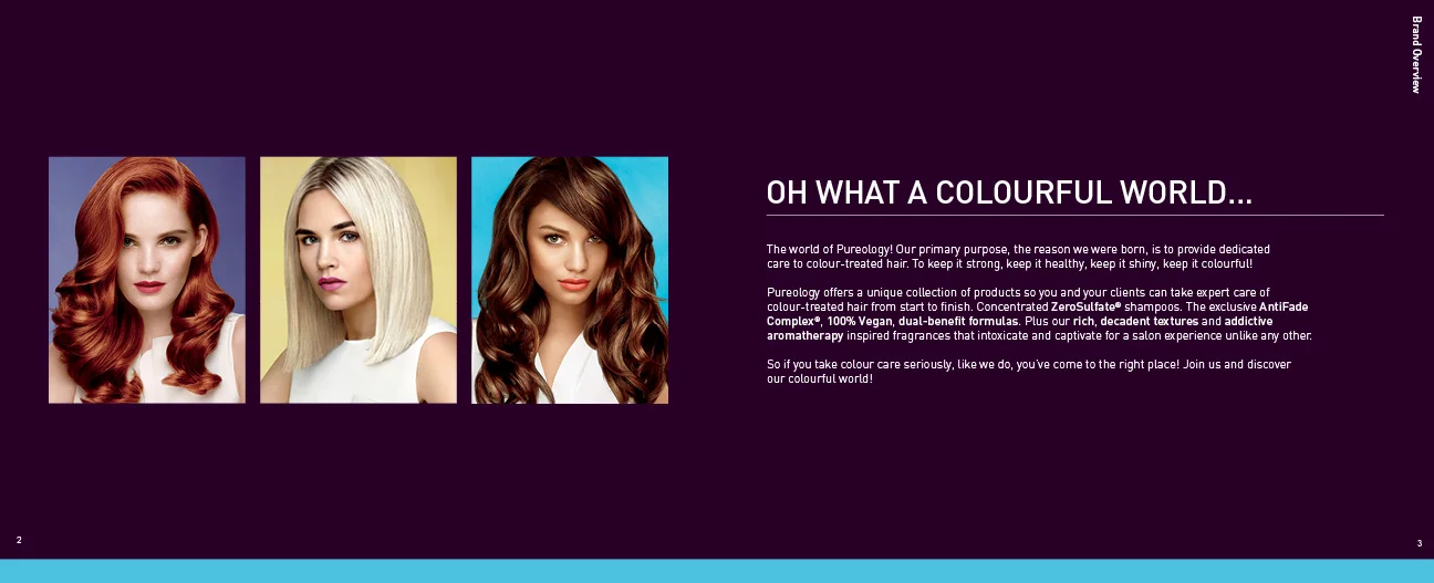 Pureo_GL_Brand Book 2015_2.jpg