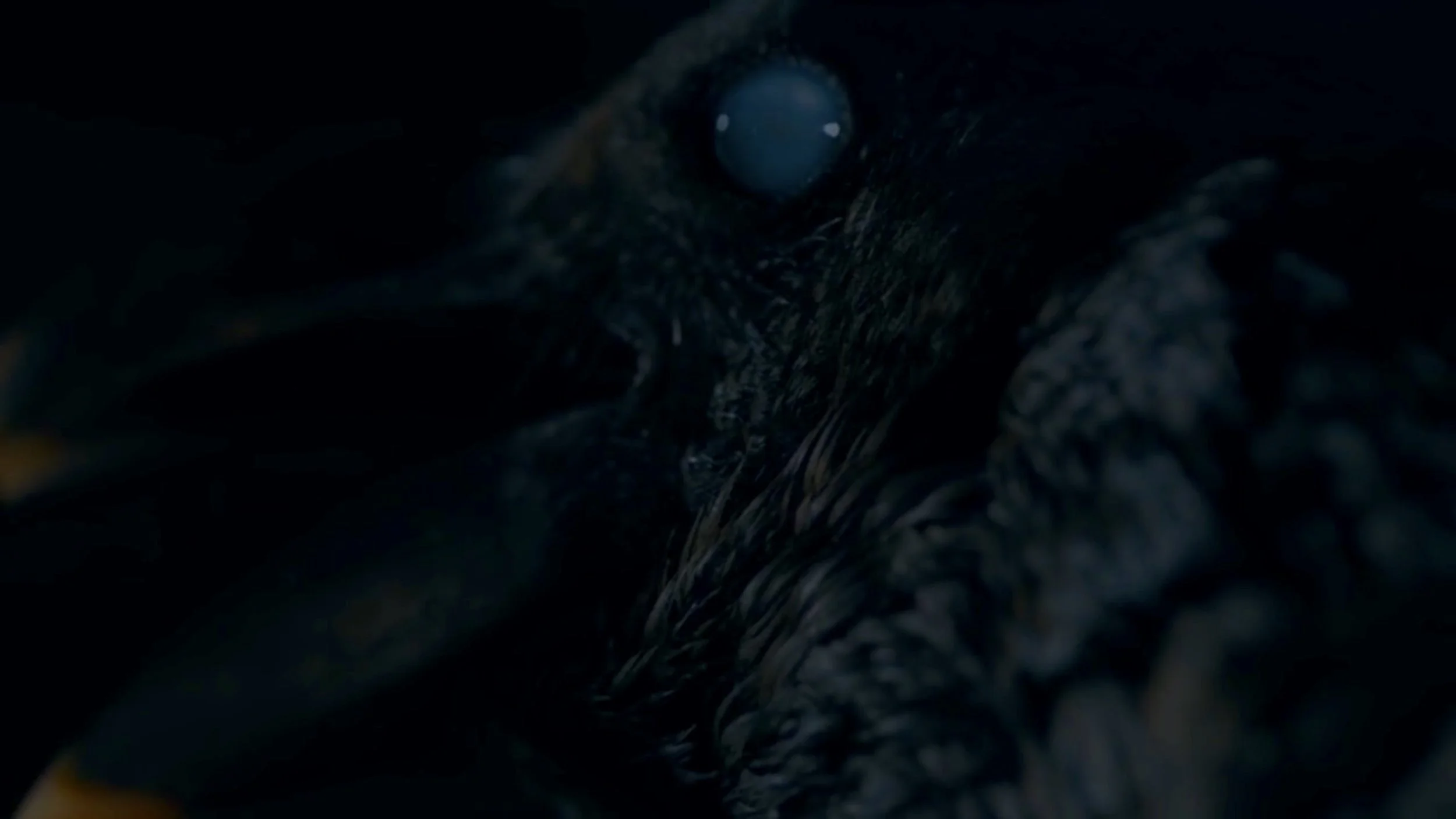…into crows…