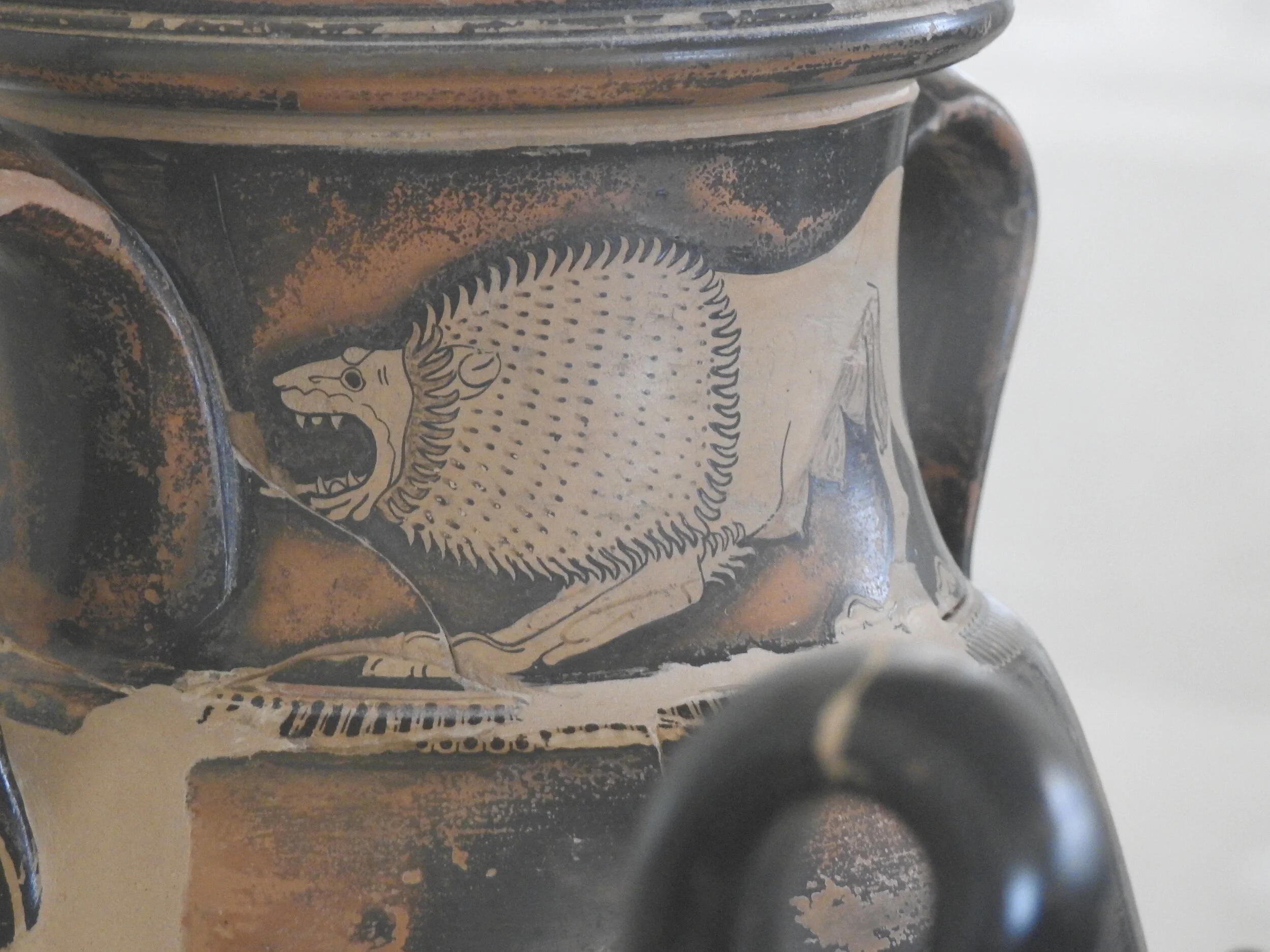 Roaring lioness on the neck of a red-figure pelike. Berlin Painter, 490 BCE. Museo Archeologico Nazionale, Ferrara. Photo by Renée DeVoe Mertz.