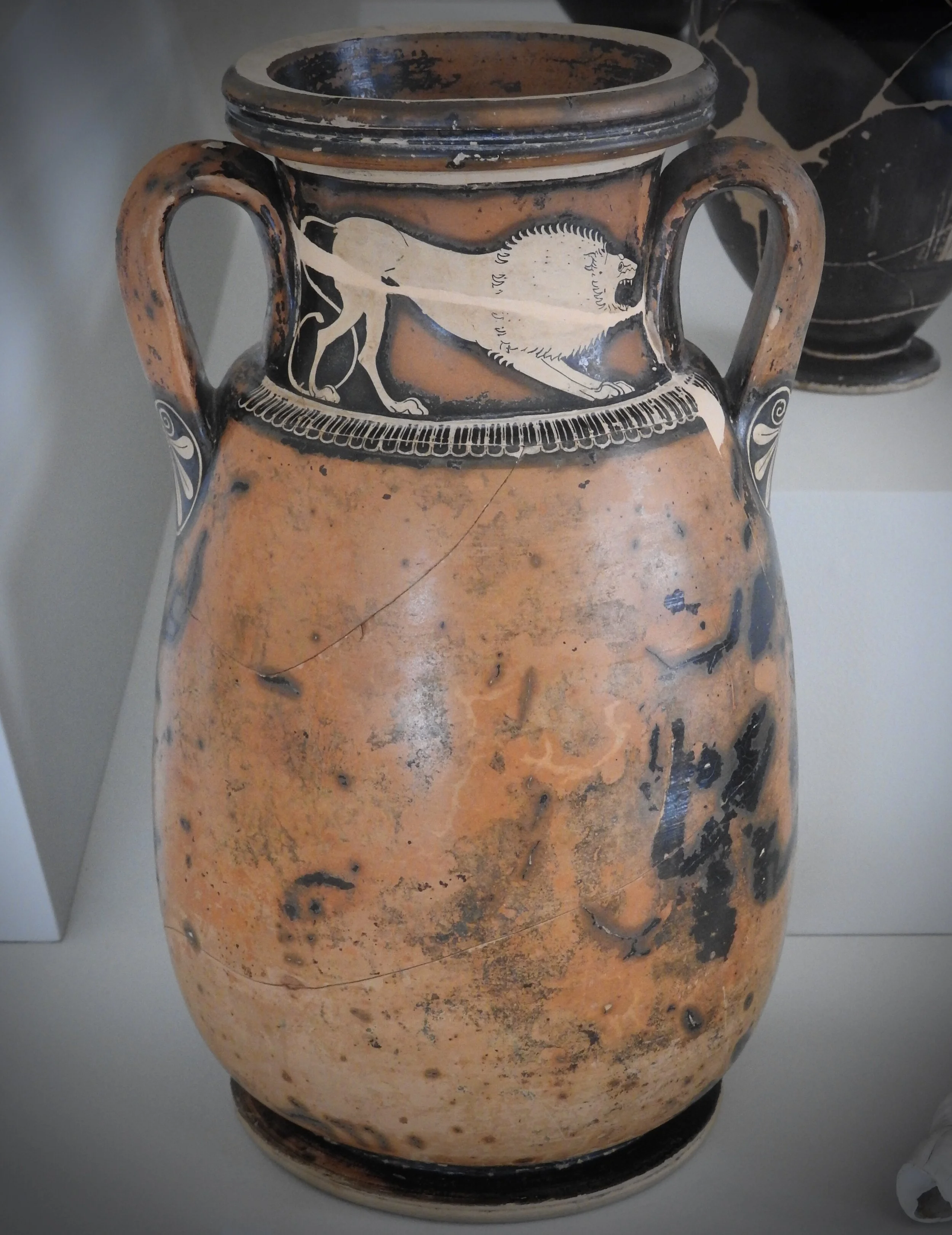 Red-figure pelike with a roaring lion on the neck. Berlin Painter, 490 BCE. Museo Archeologico Nazionale, Ferrara. Photo by Renée DeVoe Mertz.