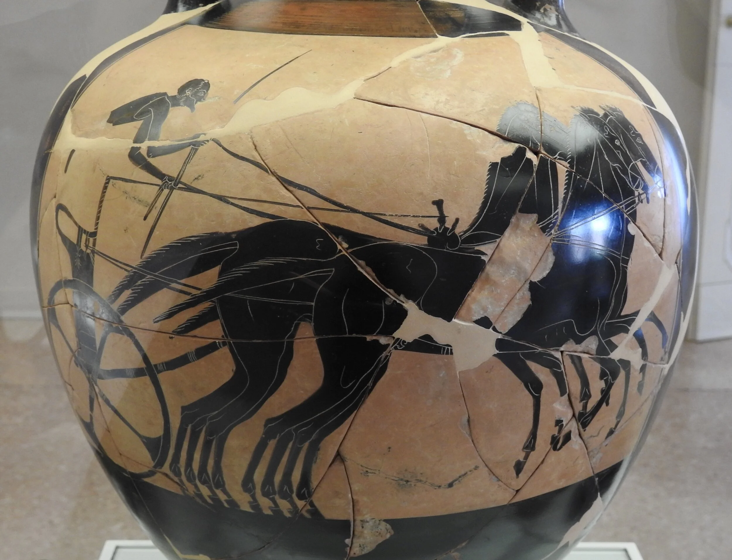 Black-figure depiction of a quadriga race on a Panathenaic Amphora. Berlin Painter, 460 BCE. Museo Archeologico Nazionale, Ferrara. Photo by Renée DeVoe Mertz.