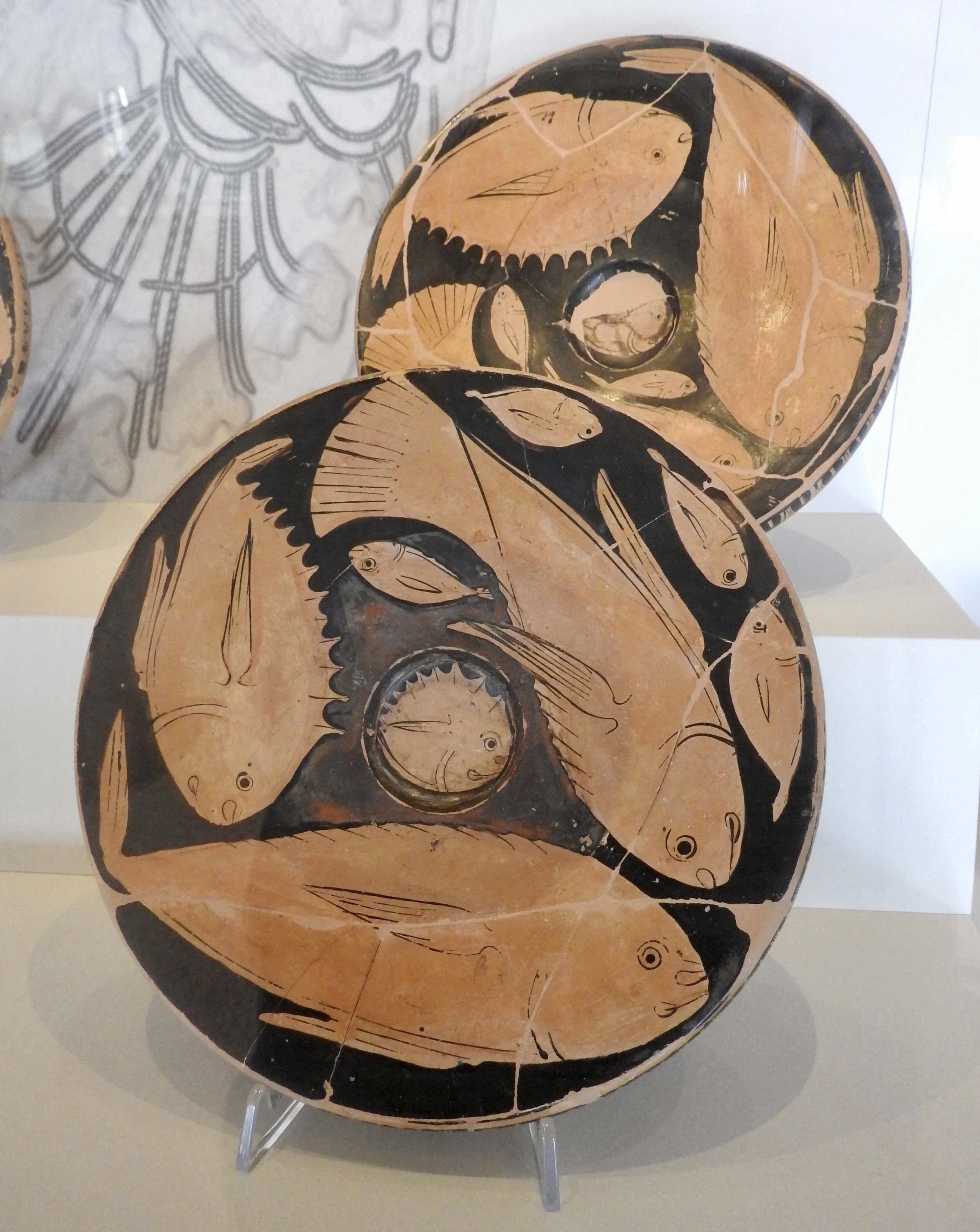 Red-figure fish plates from Valle Pega, 390–380 BCE. Museo Archeologico Nazionale, Ferrara. Photo by Renée DeVoe Mertz.