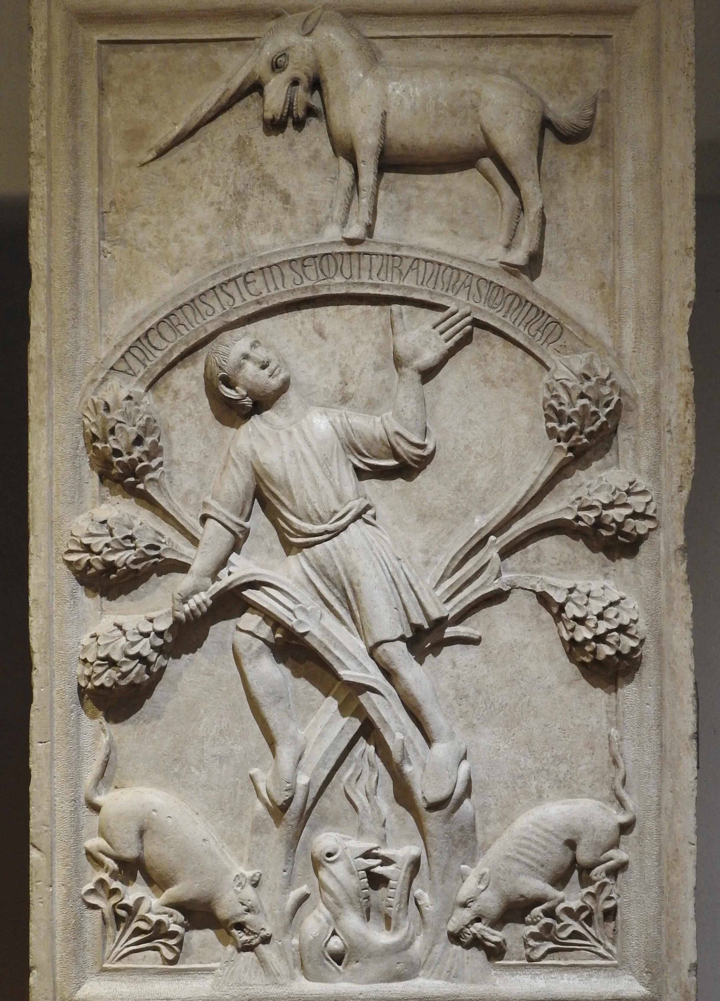 “Allegory of Life” or “Apologist of the Unicorn” panel in the Cathedral Museum of Ferrara. Mid-13th century. Photo by Renée DeVoe Mertz.