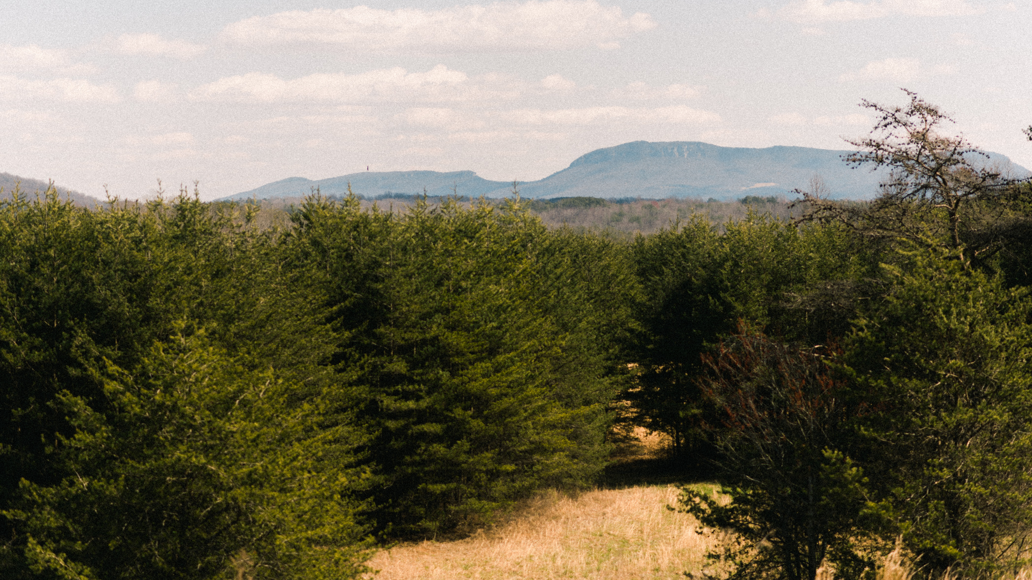 north carolina mountains