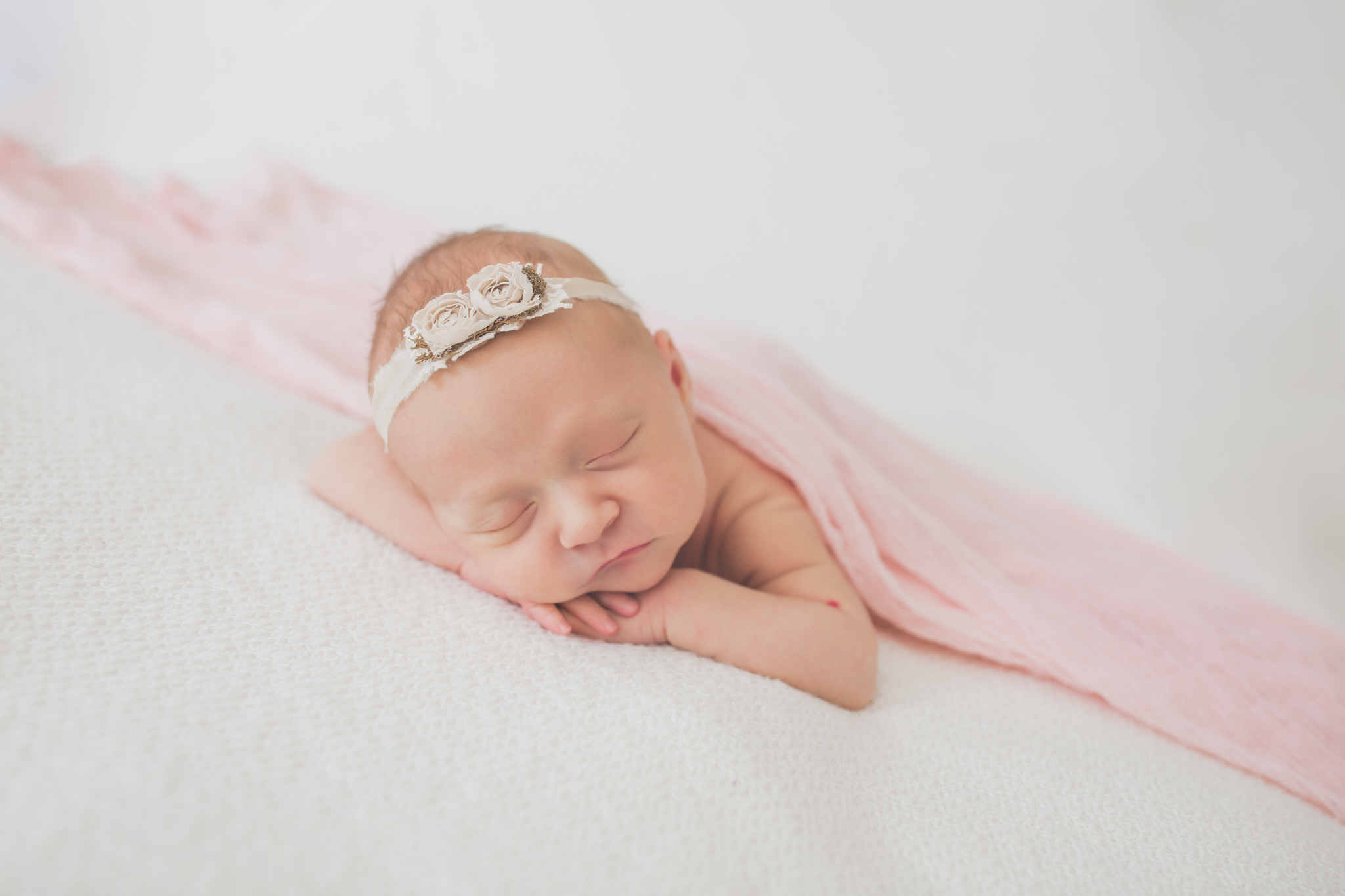 Newborn photographer 815 lifestyle Studio Session Cara Peterson Photography Rockford IL -31.jpg