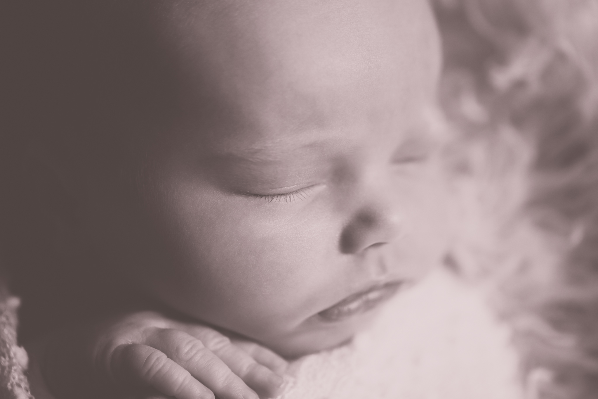 Newborn photographer Milestone 815 MAternity lifestyle Studio Session Cara Peterson Photography Rockford IL -64.jpg